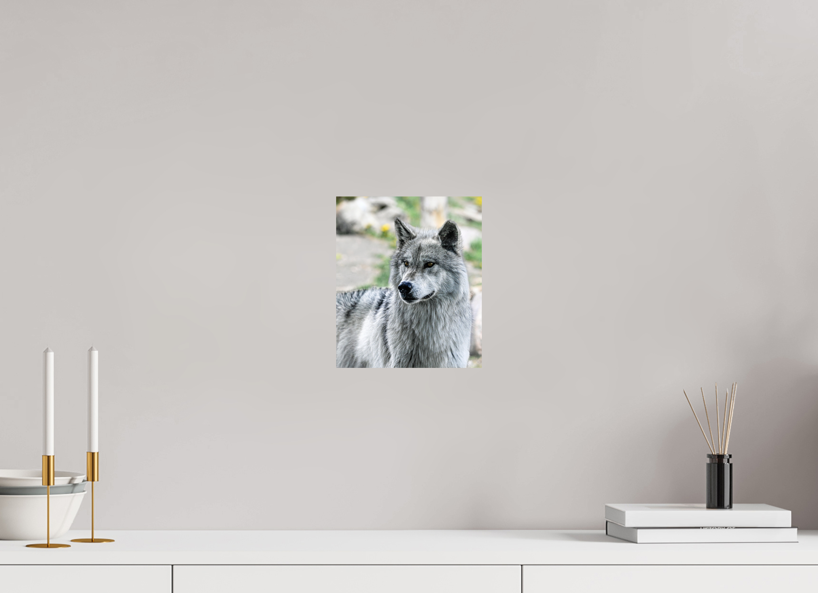 8 x 9.4″, PHOTO PAPER Wolf Portrait
