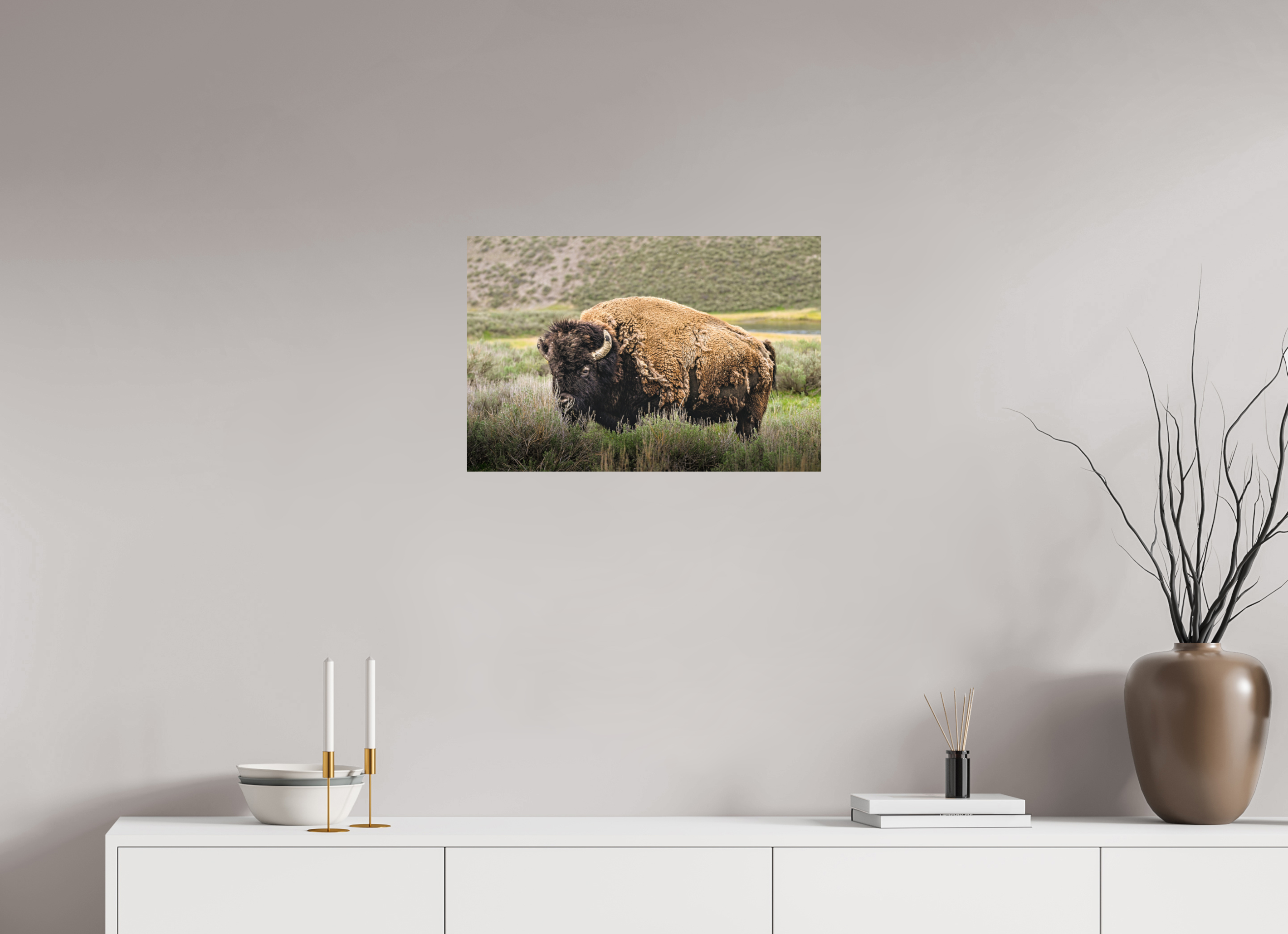 24 x 16″, PHOTO PAPER Bison