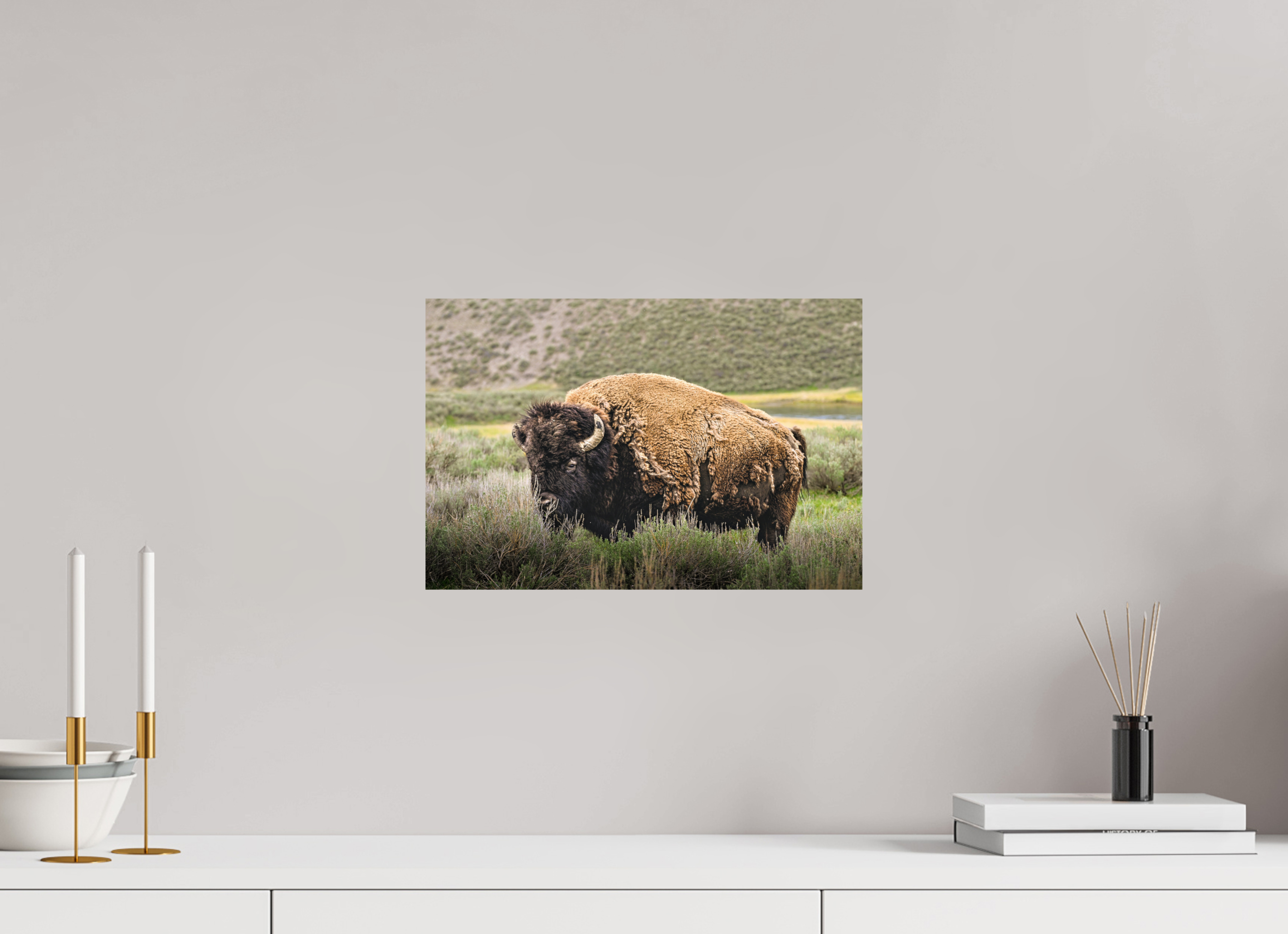 15 x 10″, METAL Bison