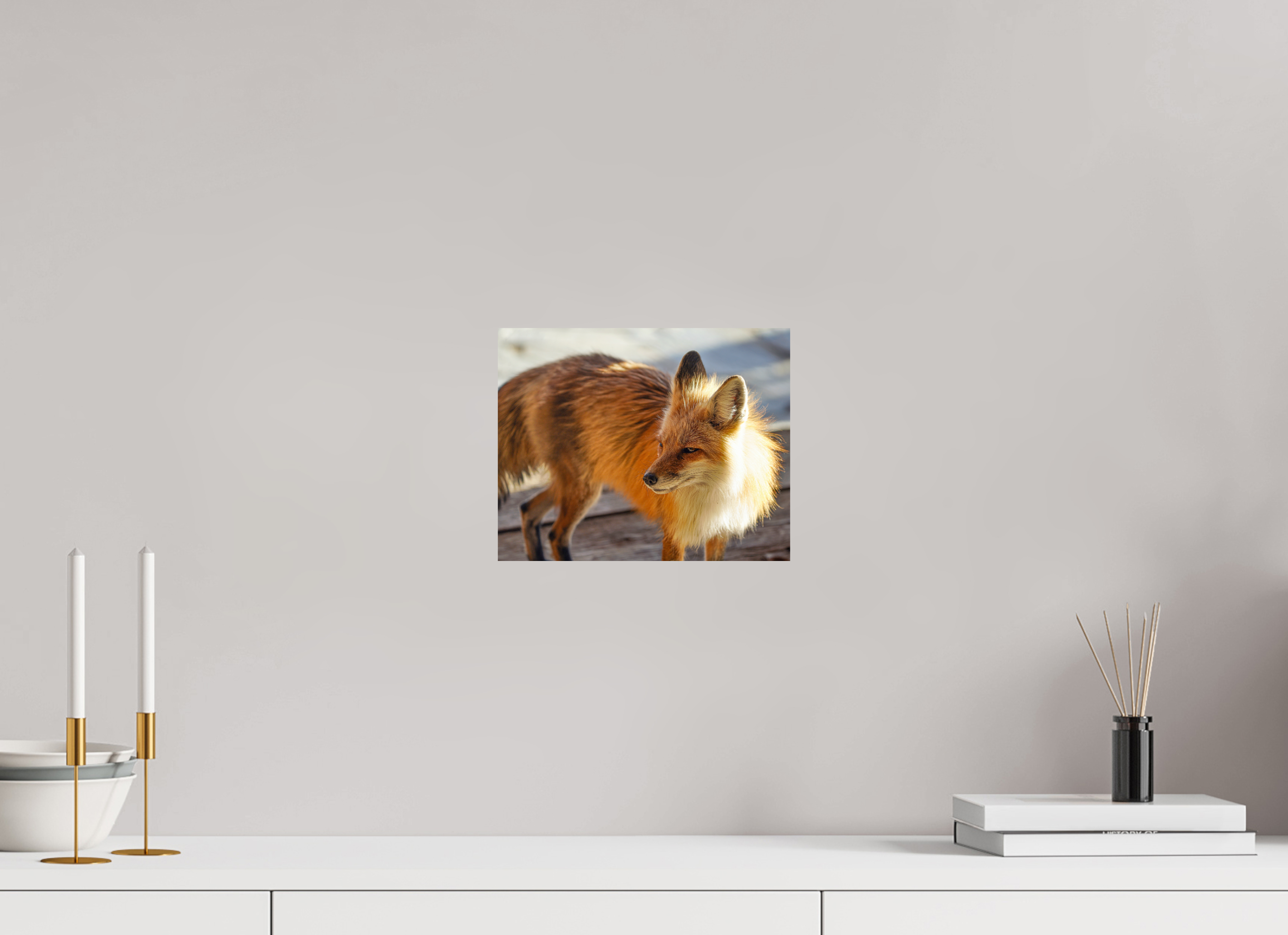 10 x 8″, METAL Fox