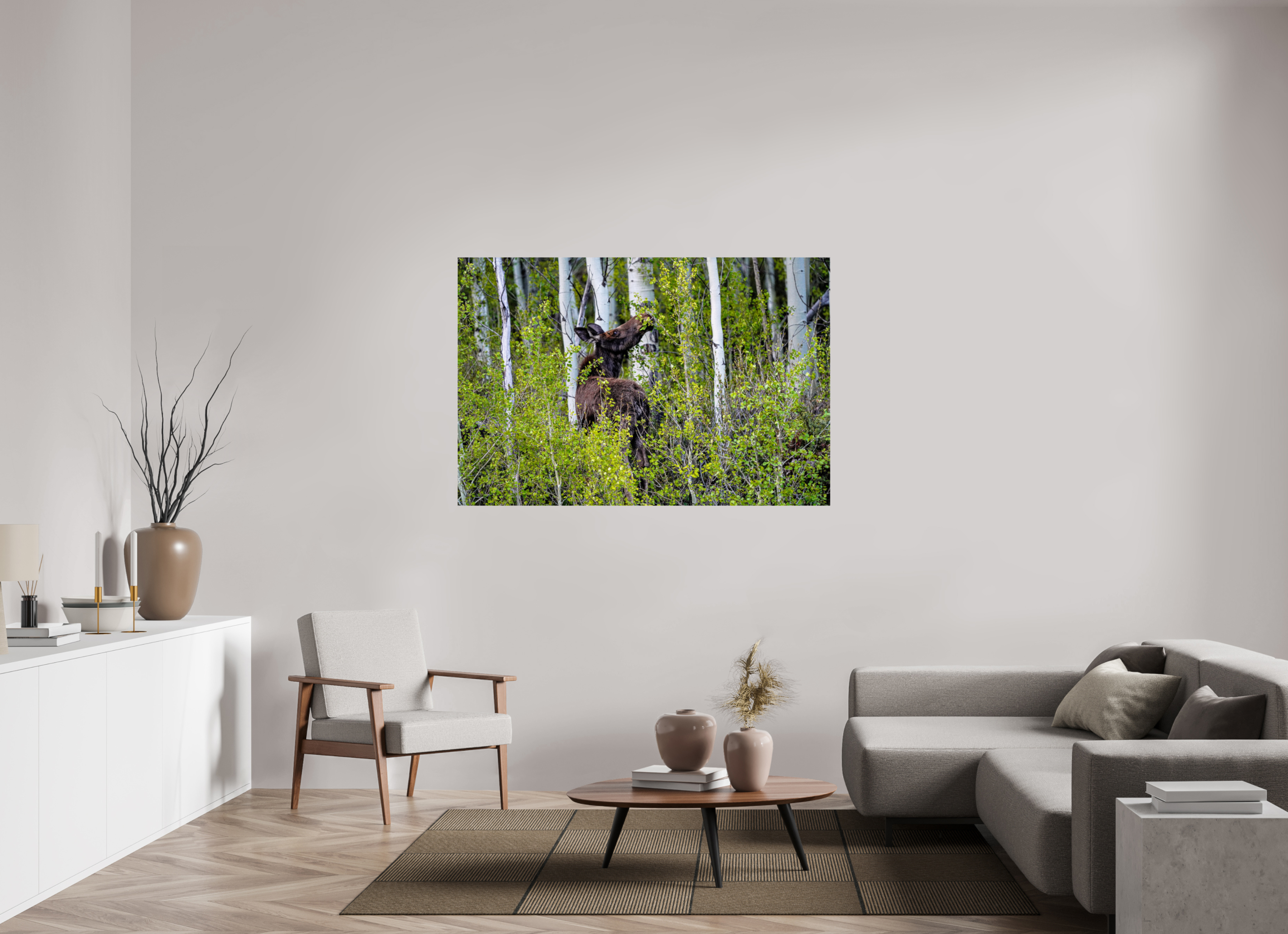 60 x 40″, PHOTO PAPER Cow Moose Snacking on Aspens
