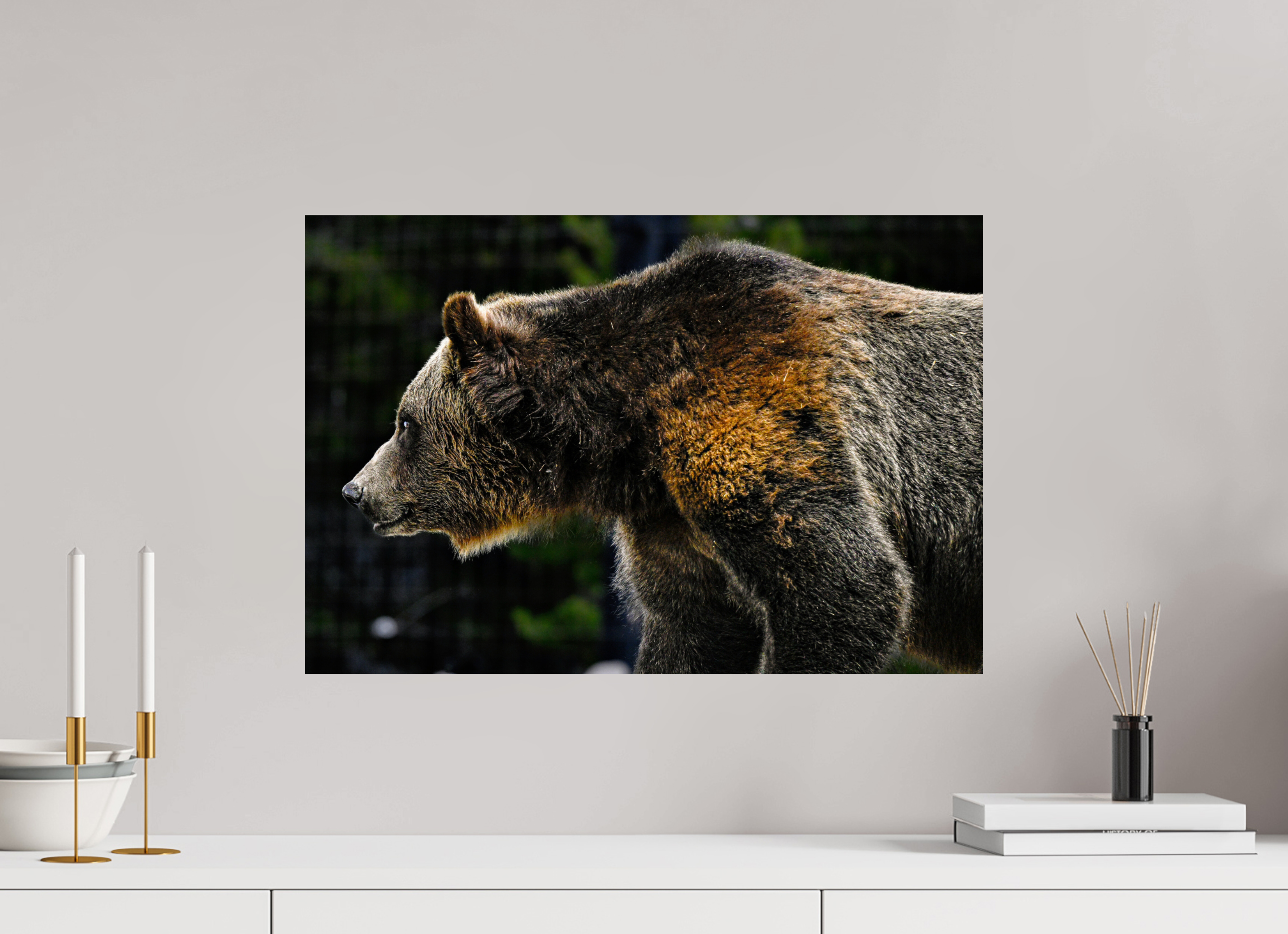23.6 x 16″, PHOTO PAPER Bear