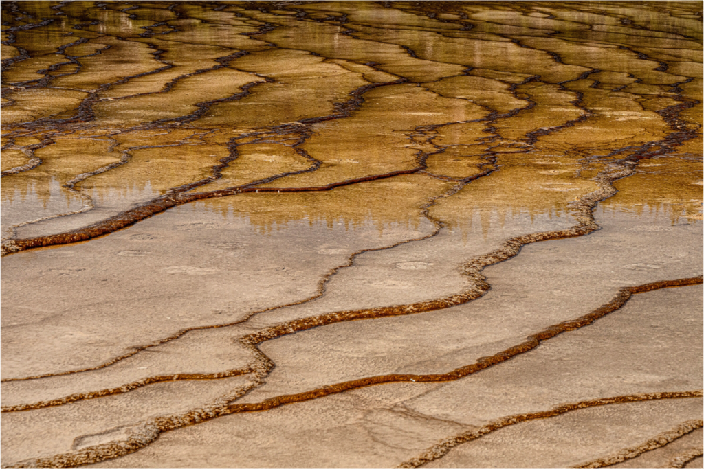 Main image Yellowstone
