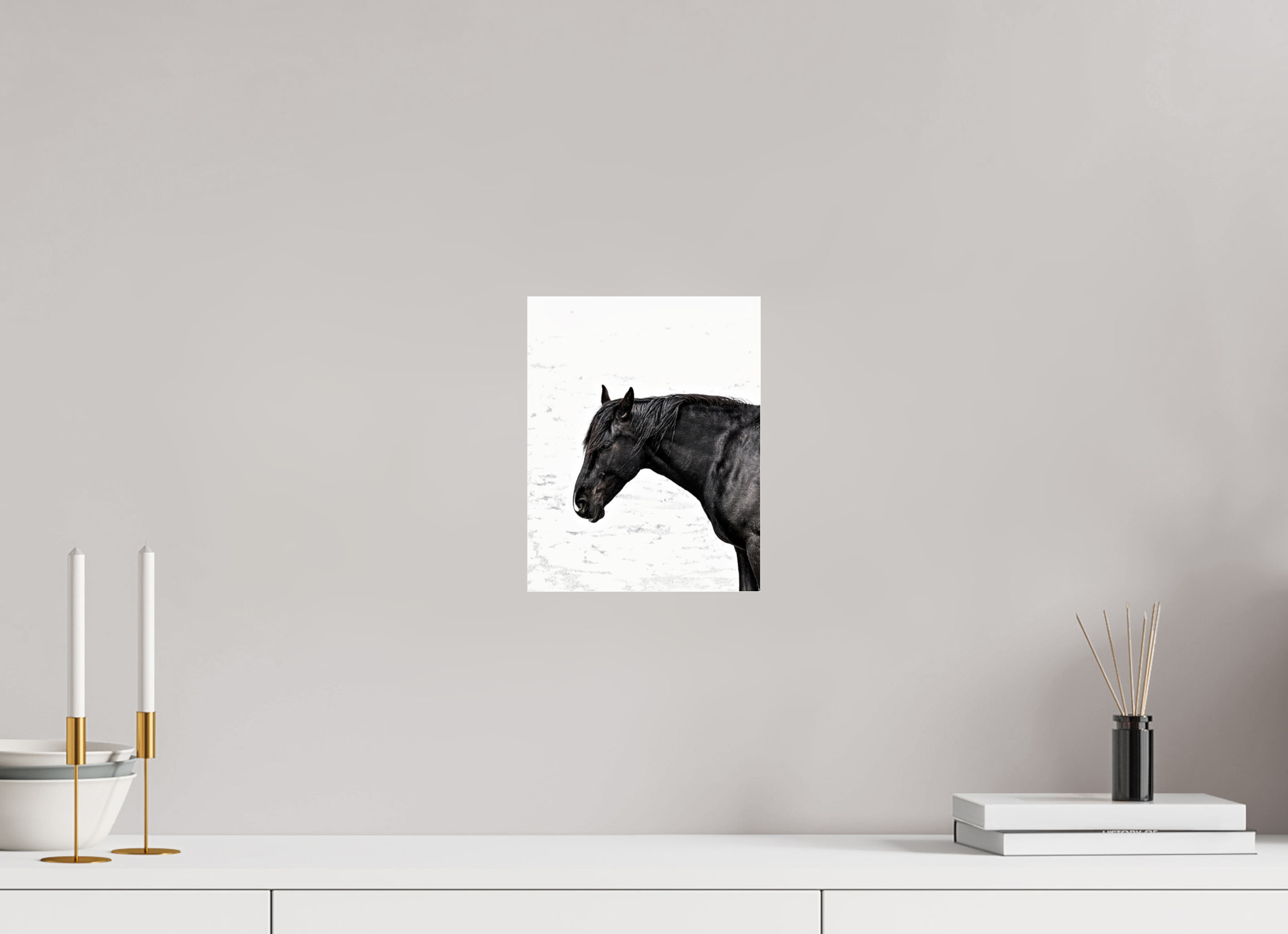 8 x 10.1″, ACRYLIC Horse Black and White Portrait