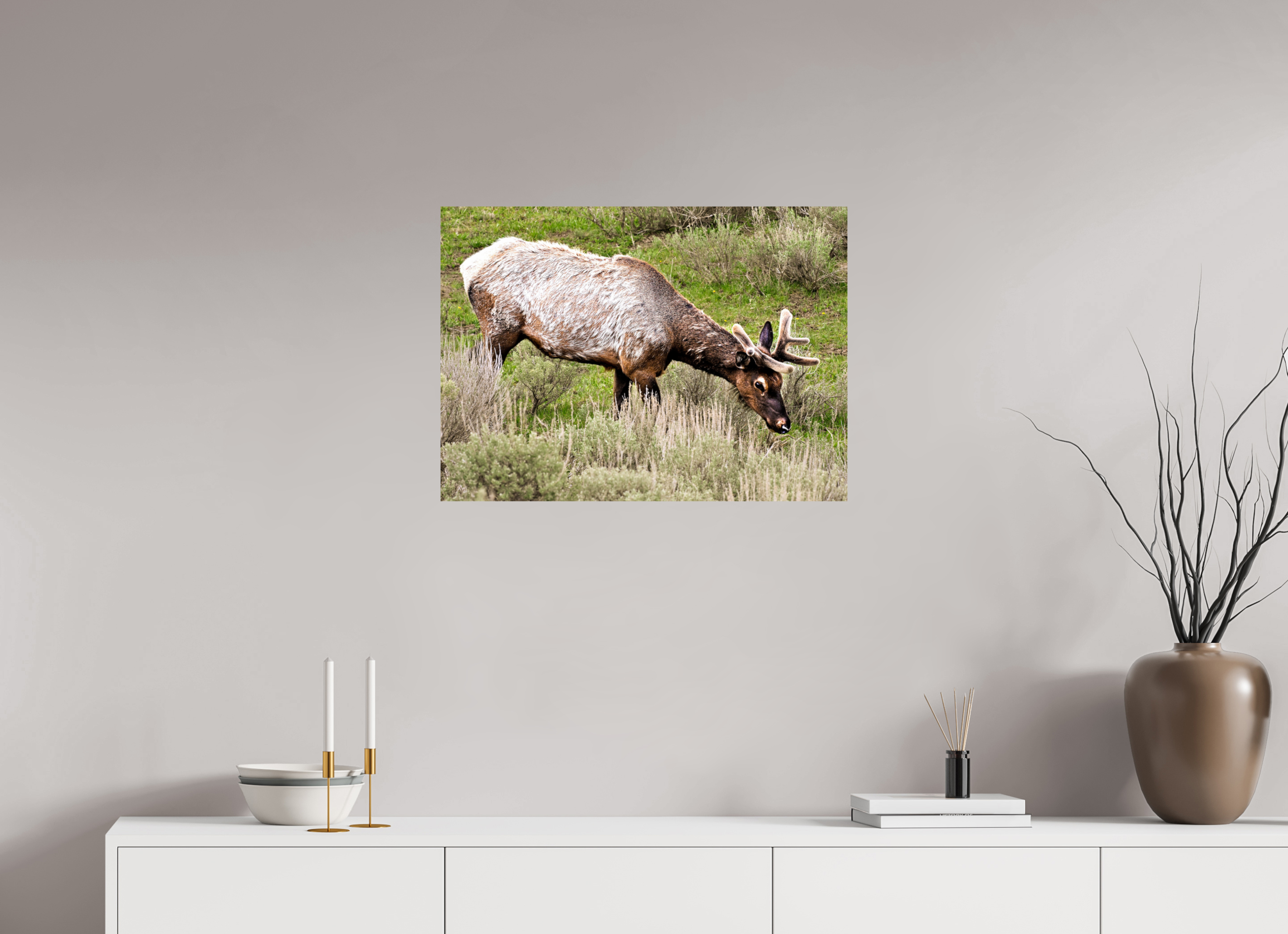27.6 x 20″, PHOTO PAPER Elk