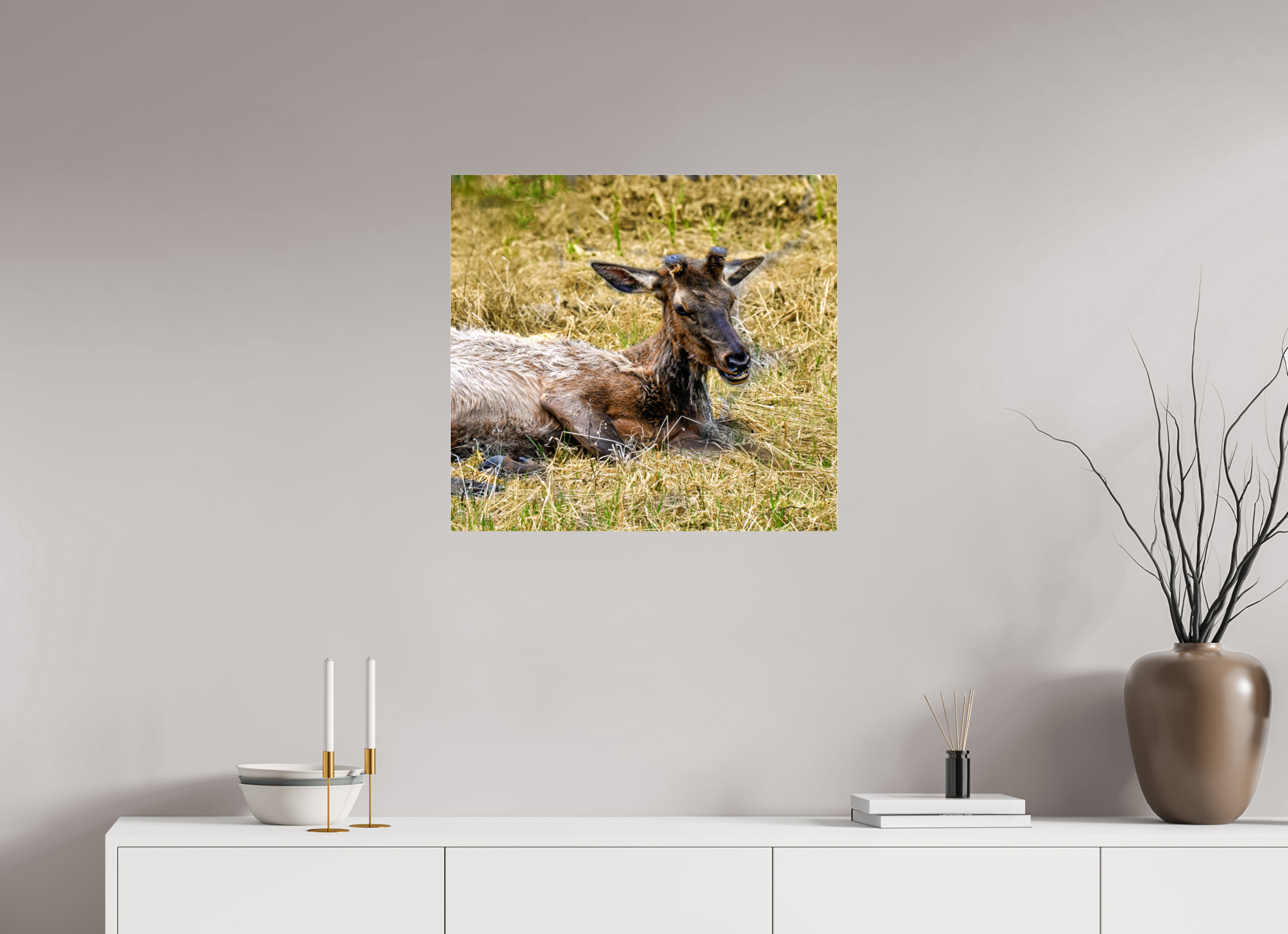 26 x 24″, ACRYLIC Elk