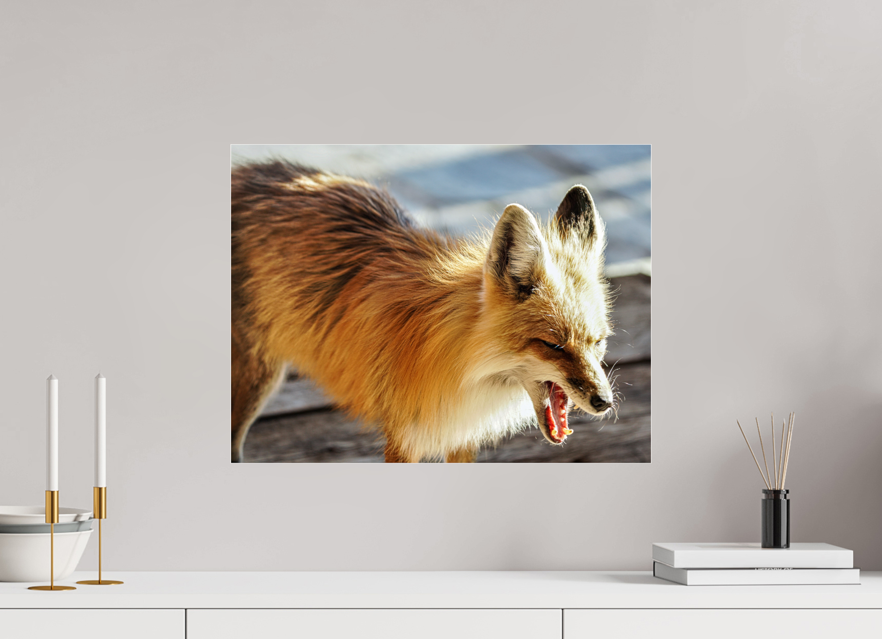 21.1 x 16″, ACRYLIC Fox