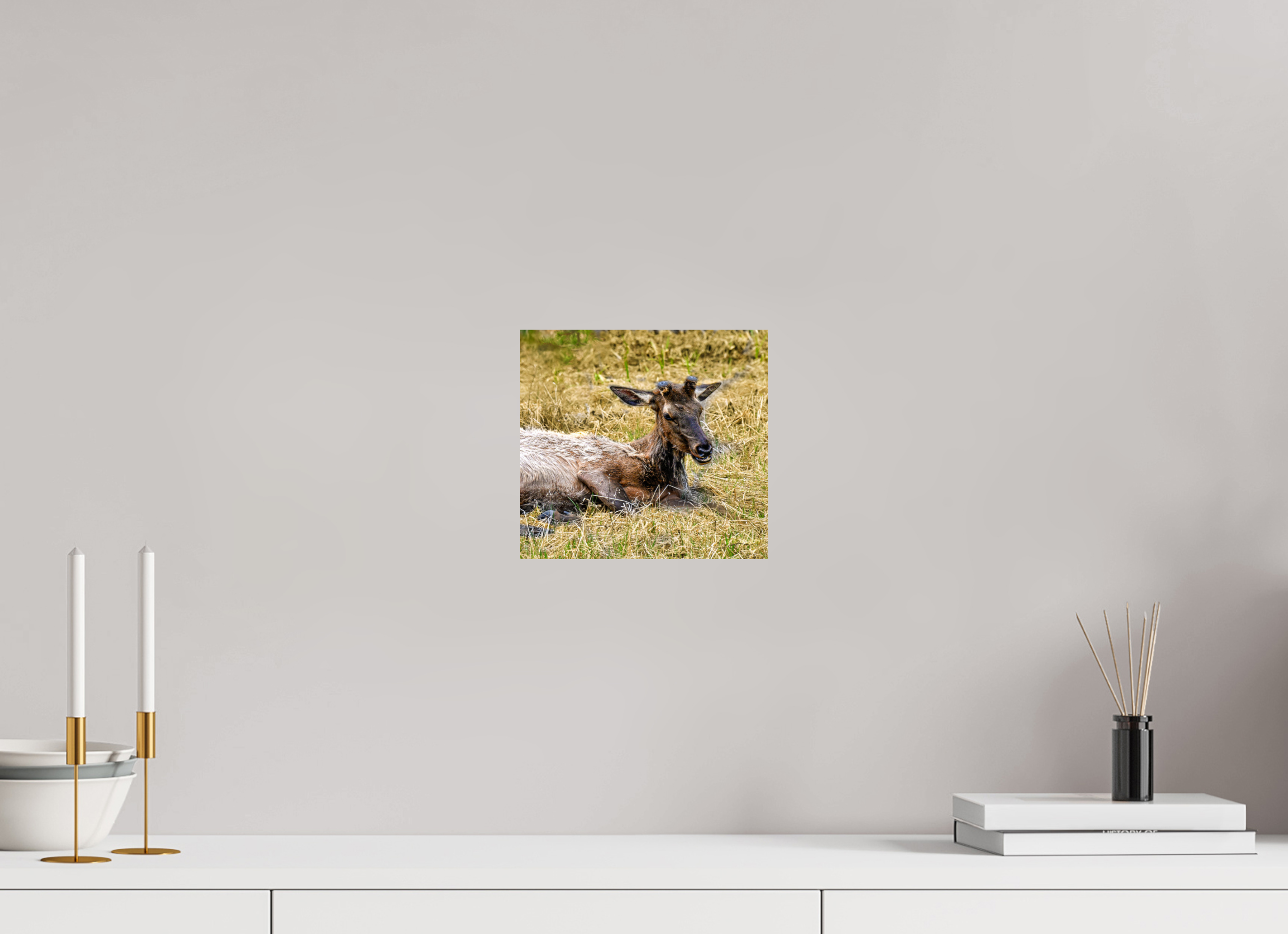 8.7 x 8″, PHOTO PAPER Elk