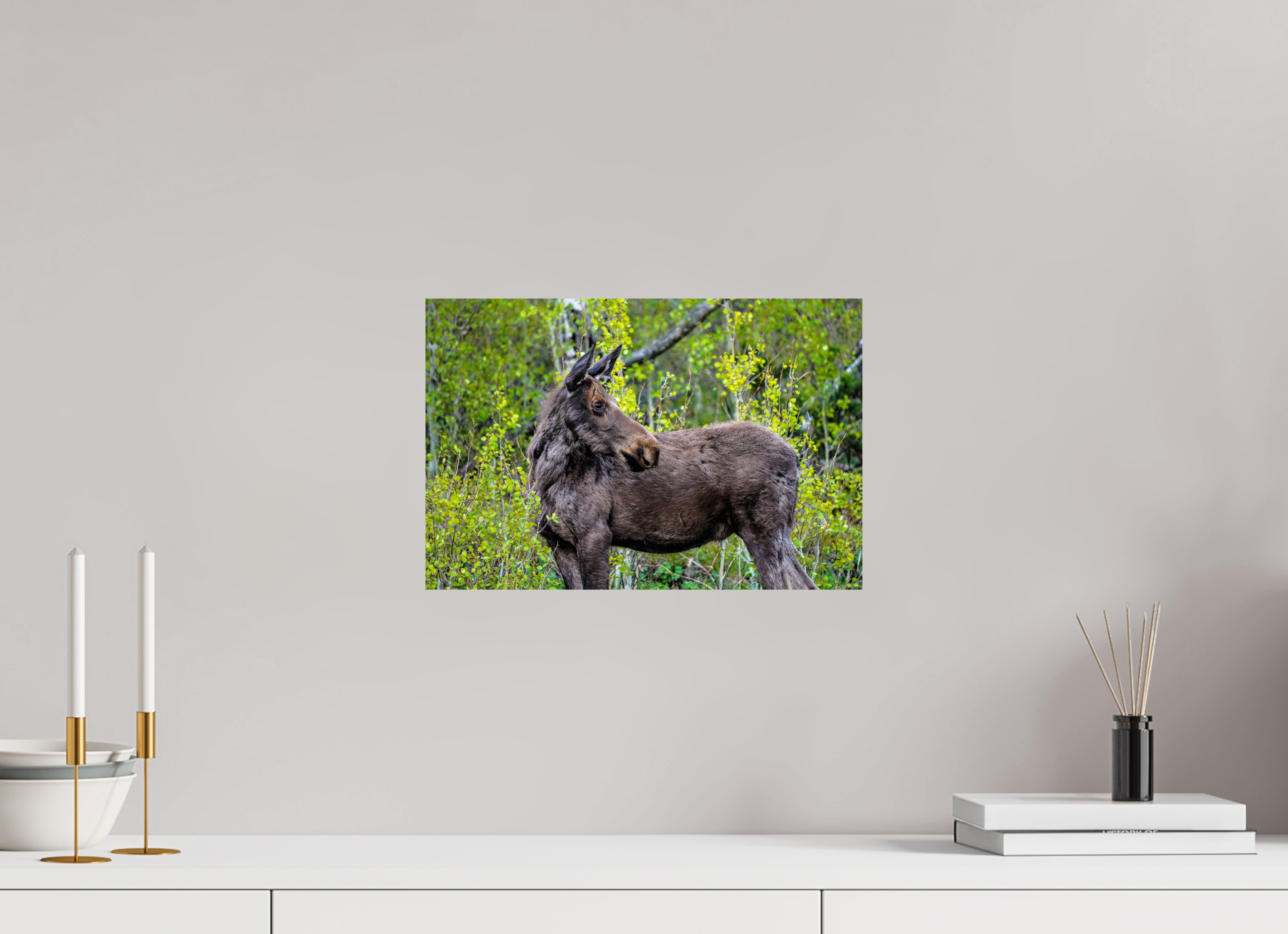 15 x 10″, METAL Moose Portrait