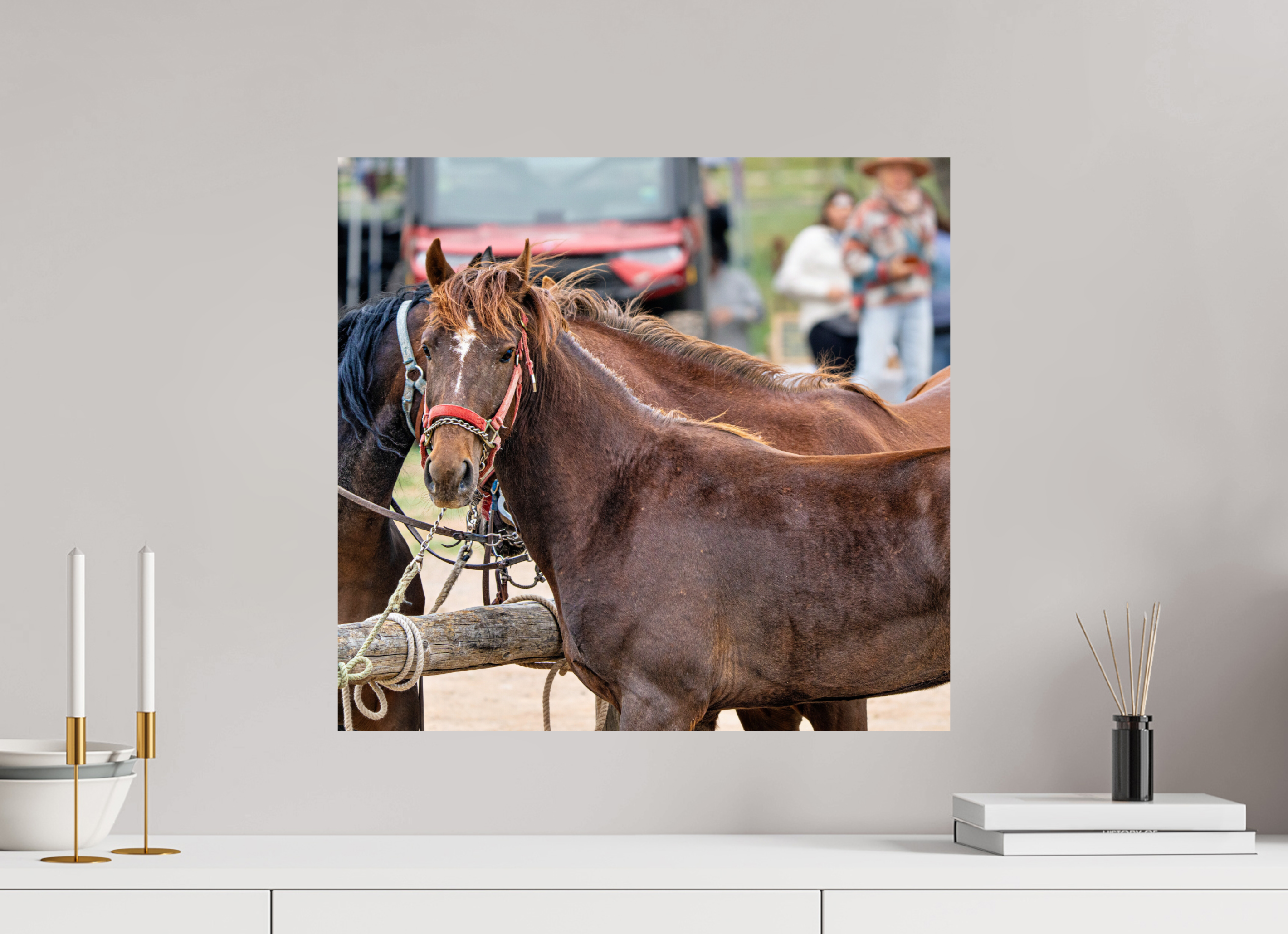 21.3 x 20″, PHOTO PAPER Pack Horse Portrait 10 Web Exclusive