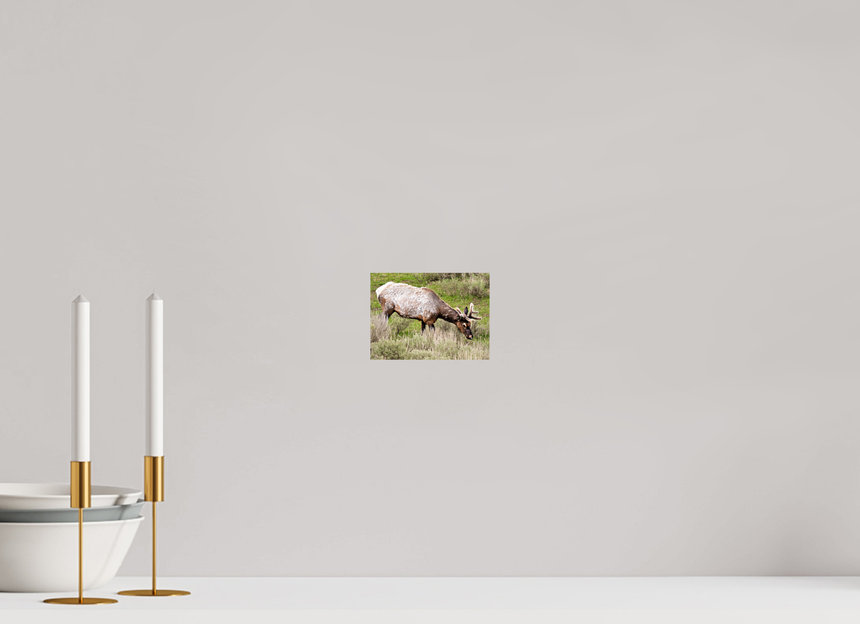 5.5 x 4″, METAL Elk