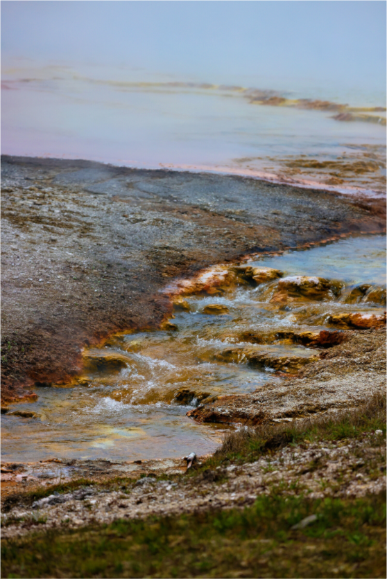 Main image Yellowstone