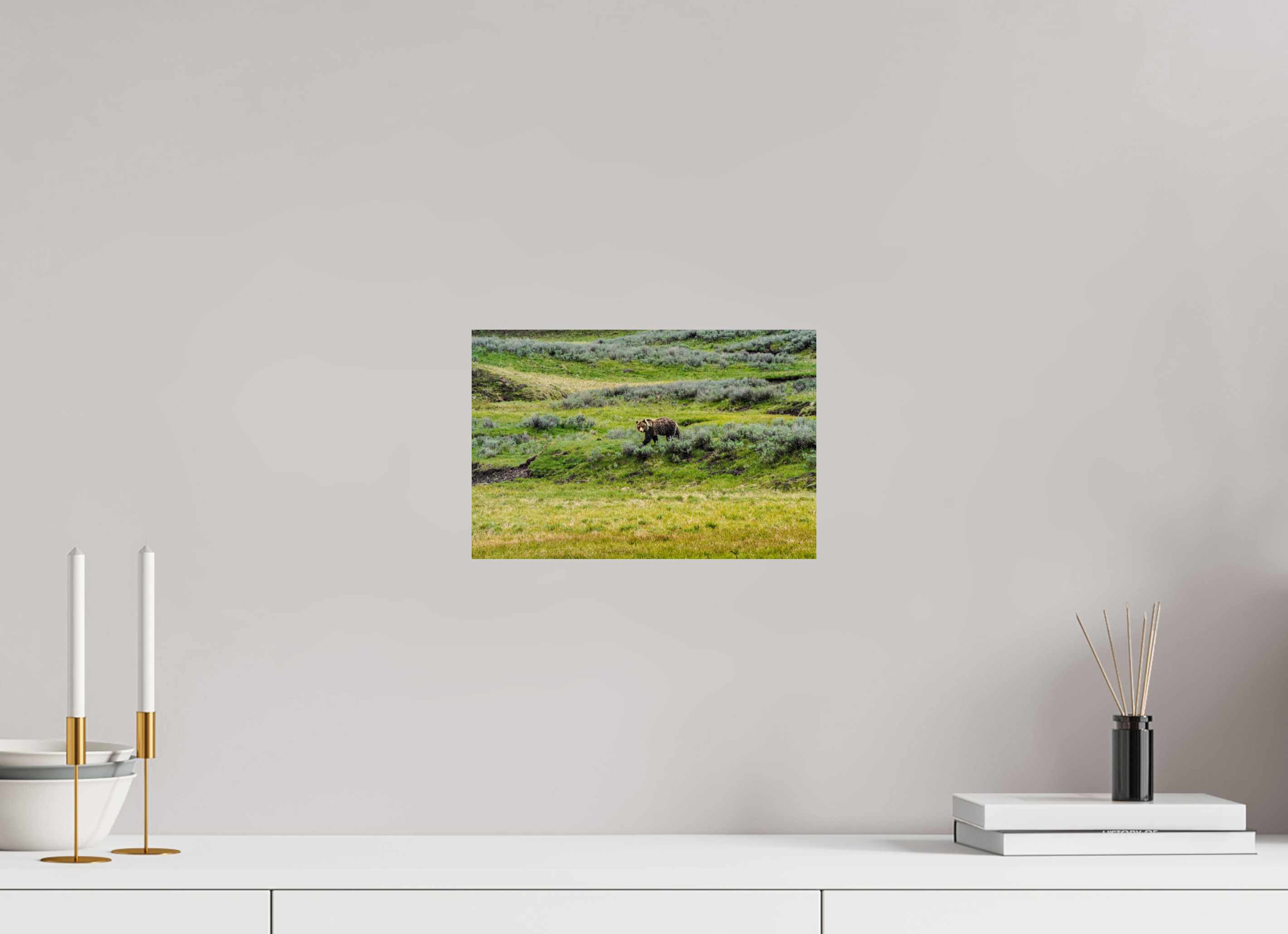 12 x 8″, PHOTO PAPER Bear
