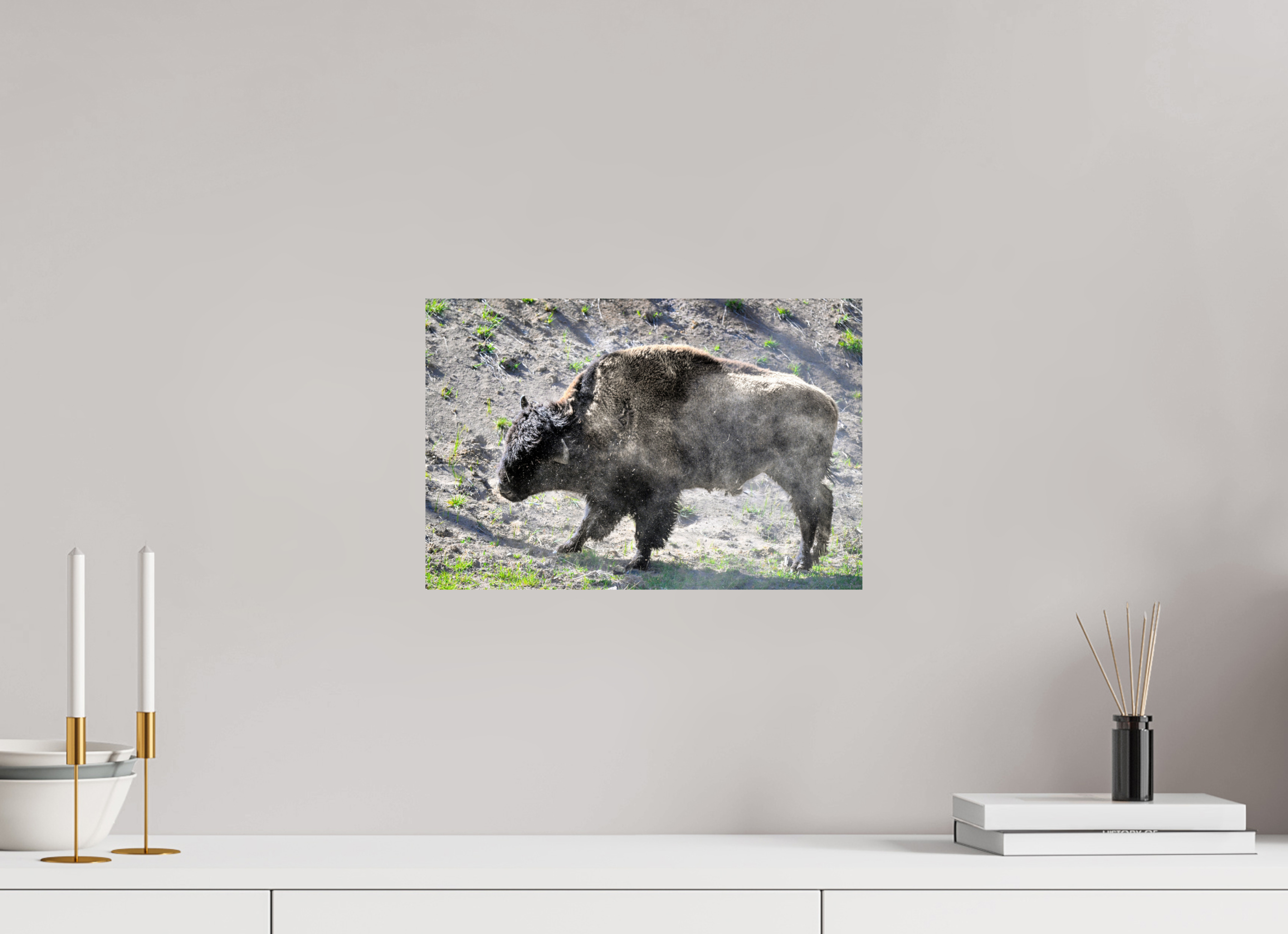 15 x 10″, METAL Bison Shake