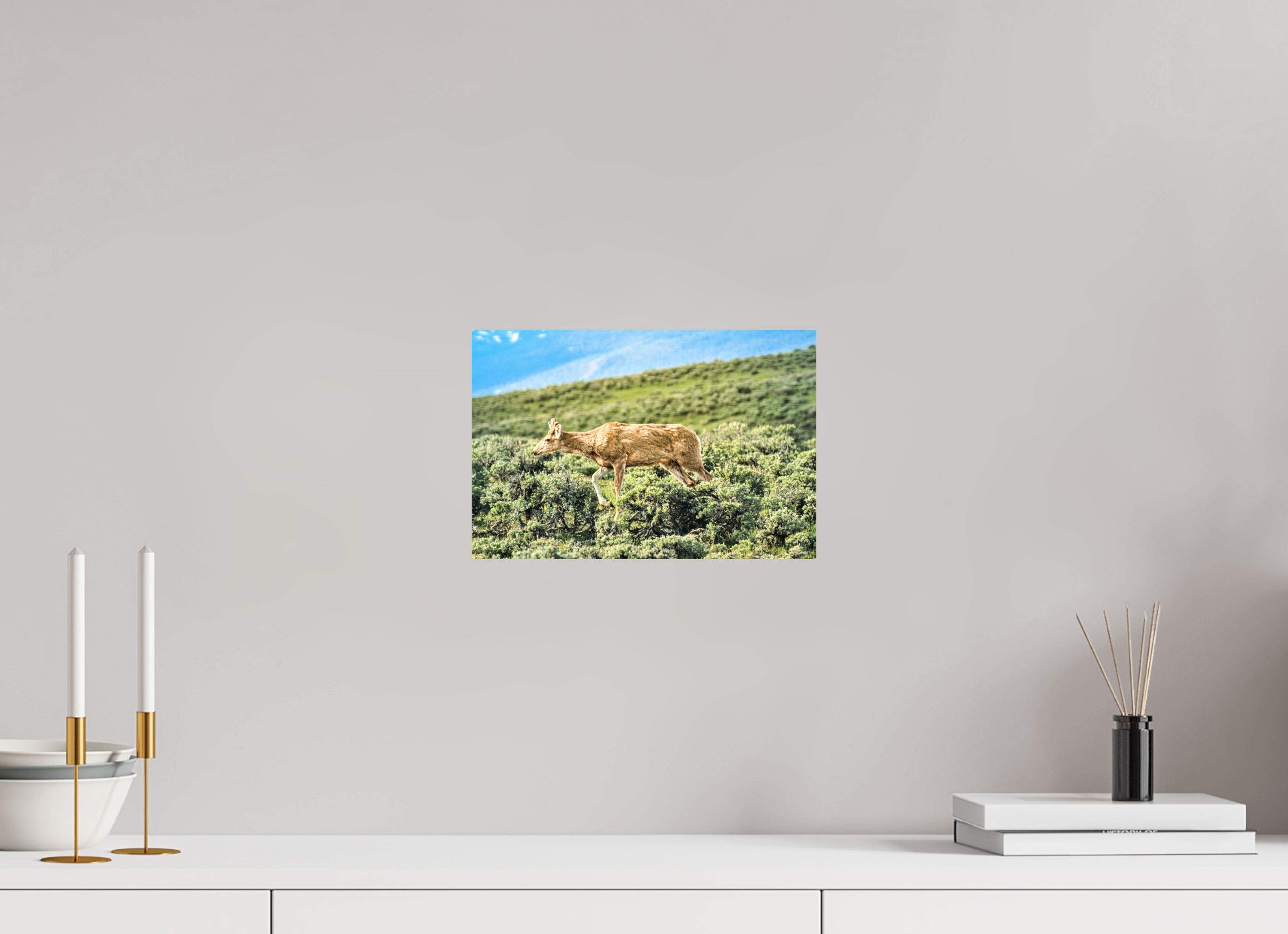 12 x 8″, PHOTO PAPER Deer