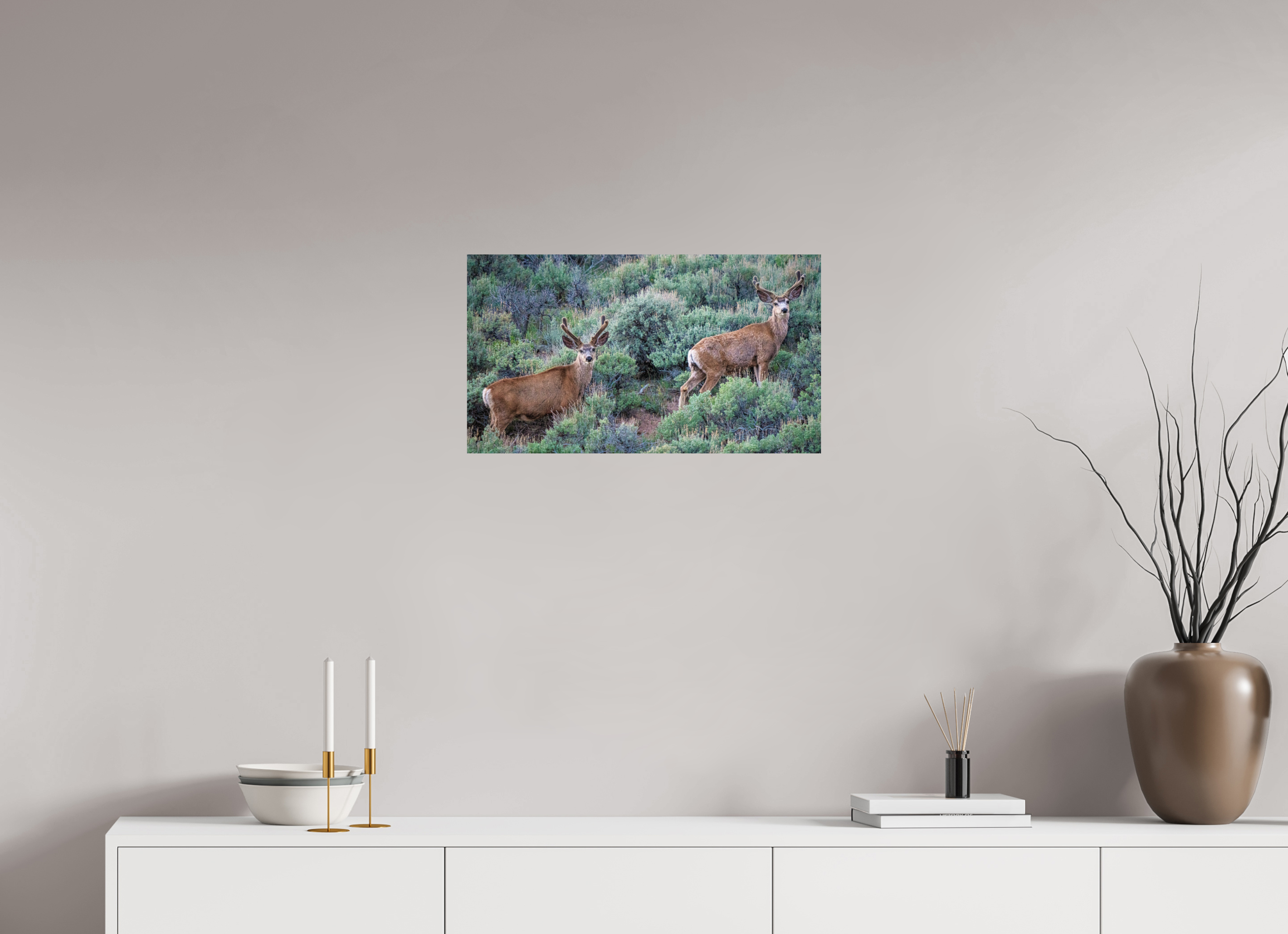 24 x 13.5″, PHOTO PAPER Deer