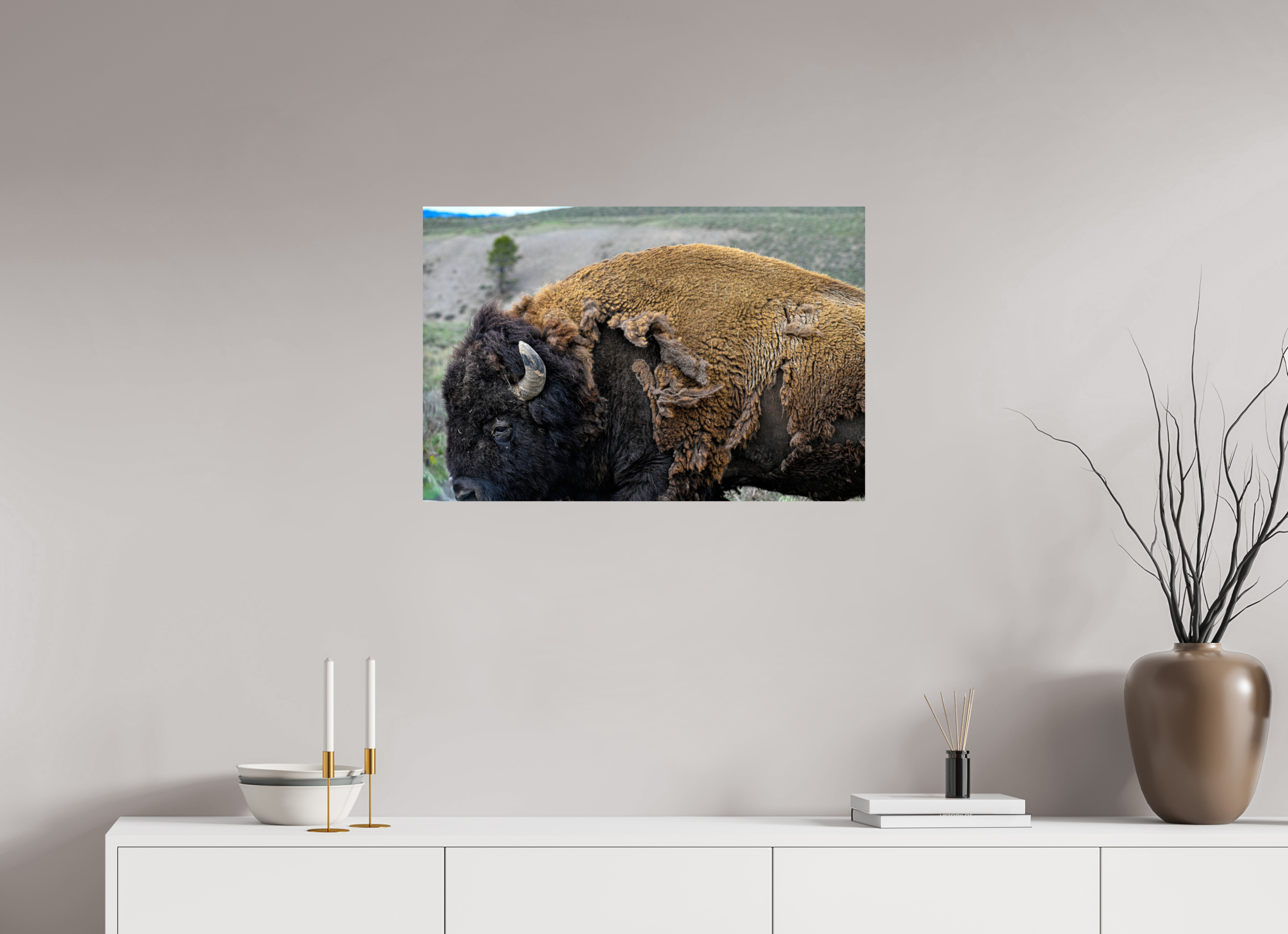 30 x 20″, PHOTO PAPER Bison side profile