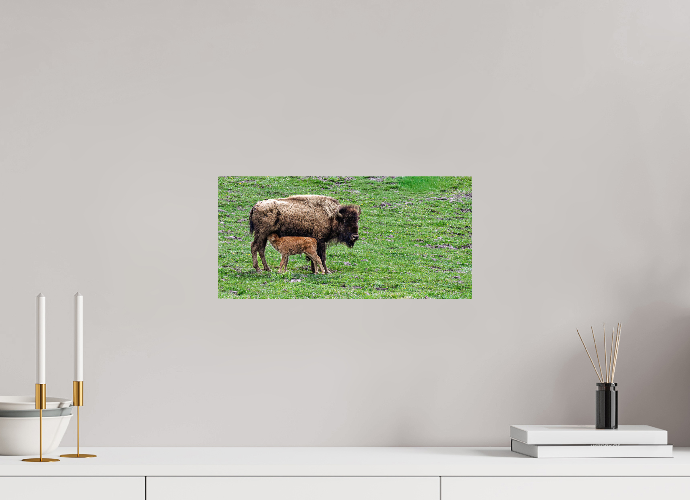 16.5 x 8″, PHOTO PAPER Red Dog Nursing