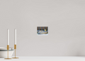 5.1 x 4″, PHOTO PAPER Bird
