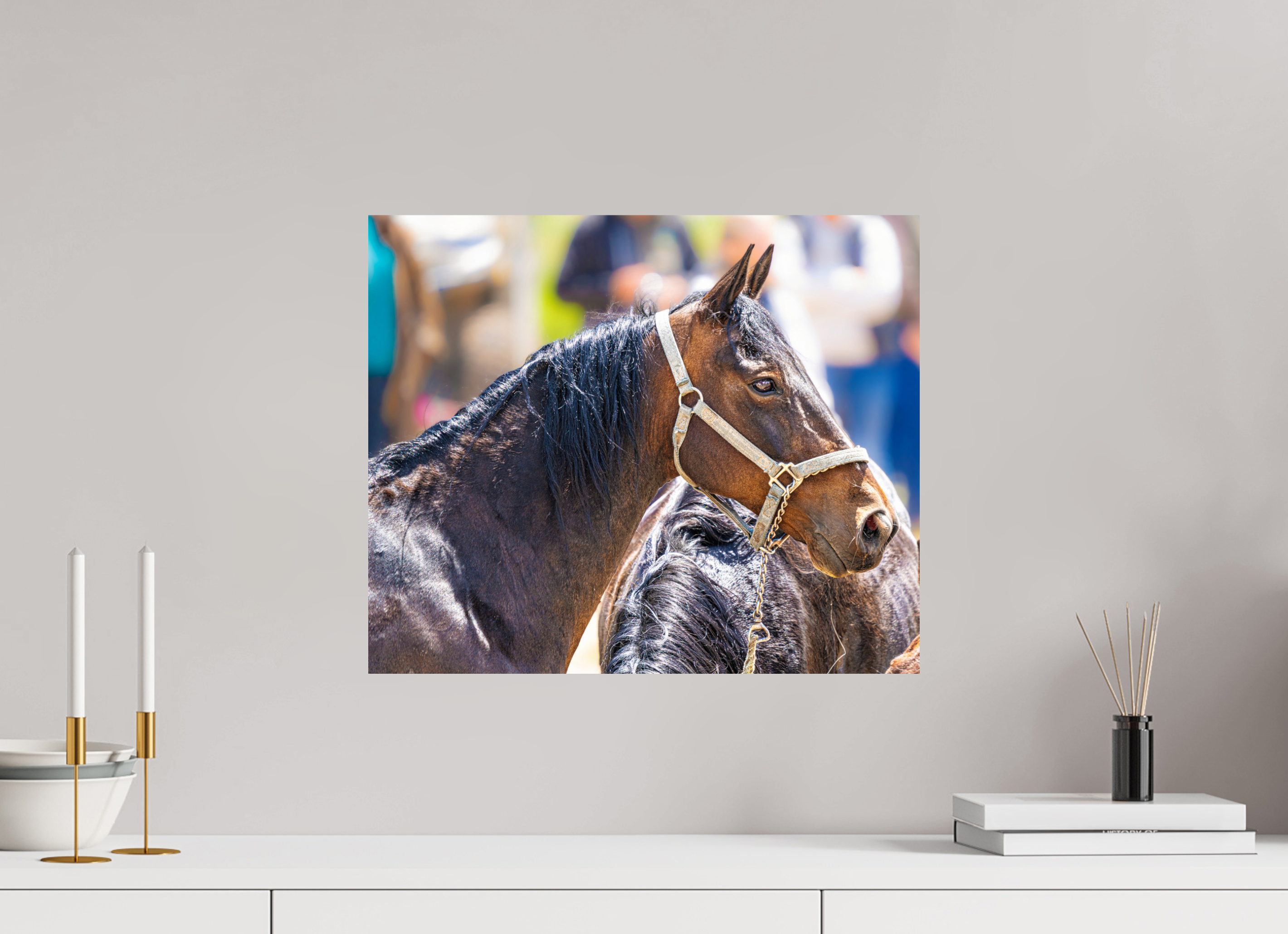19.2 x 16″, PHOTO PAPER Pack Horse Portrait 14 Web Exclusive