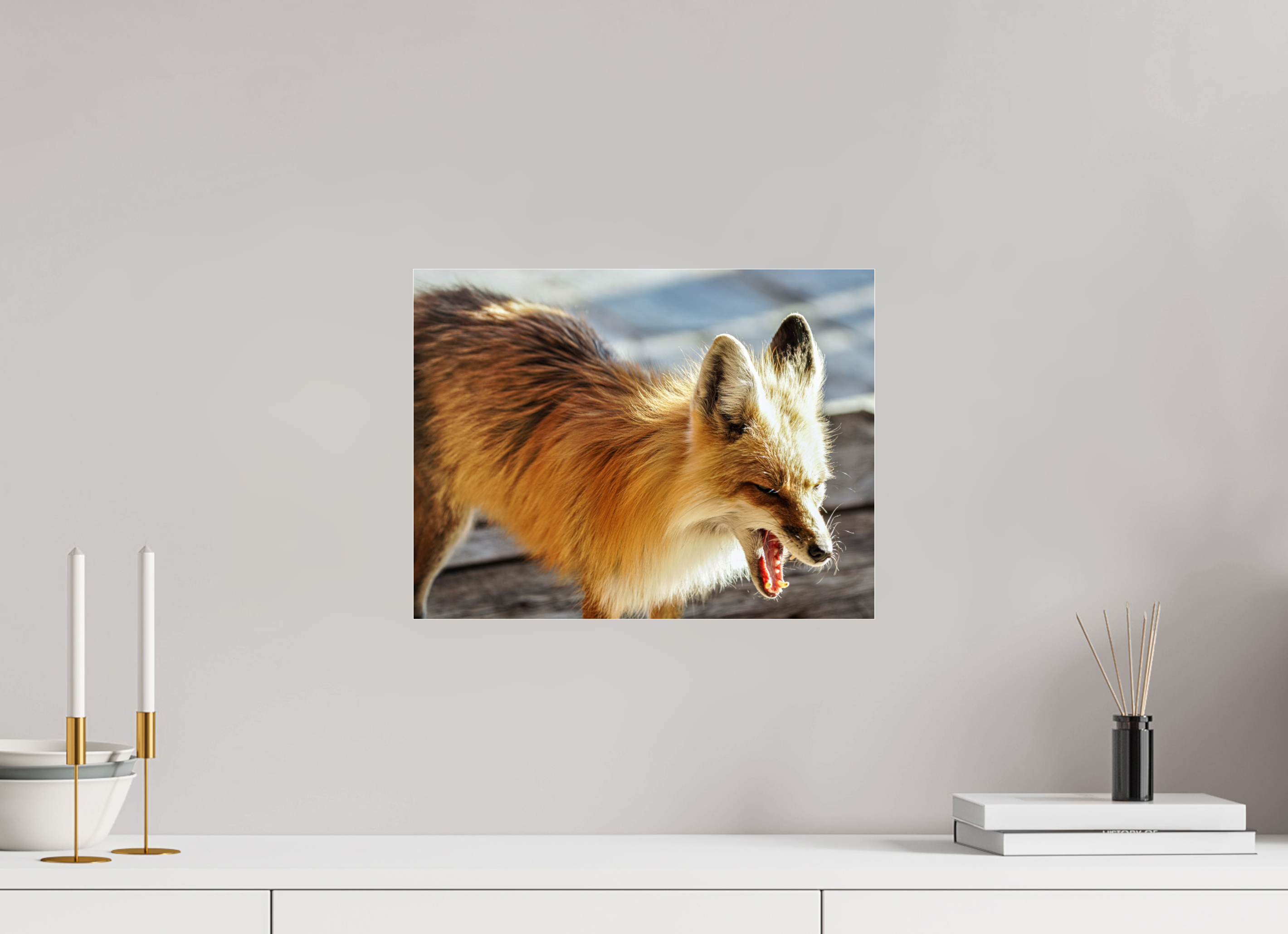 15.8 x 12″, ACRYLIC Fox