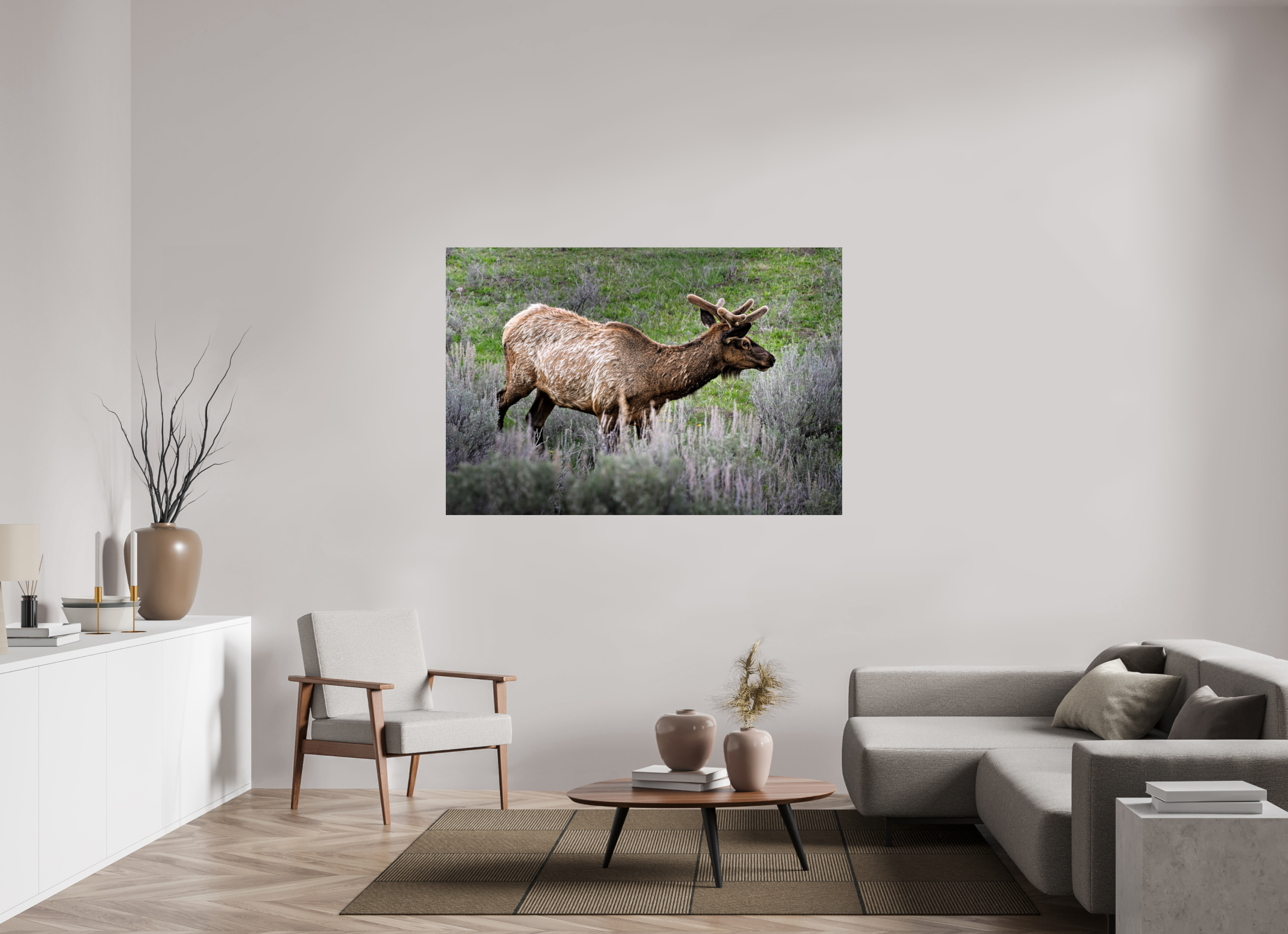 63.7 x 43″, METAL Elk