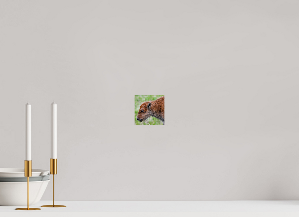 4 x 4″, PHOTO PAPER Red Dog Side Profile
