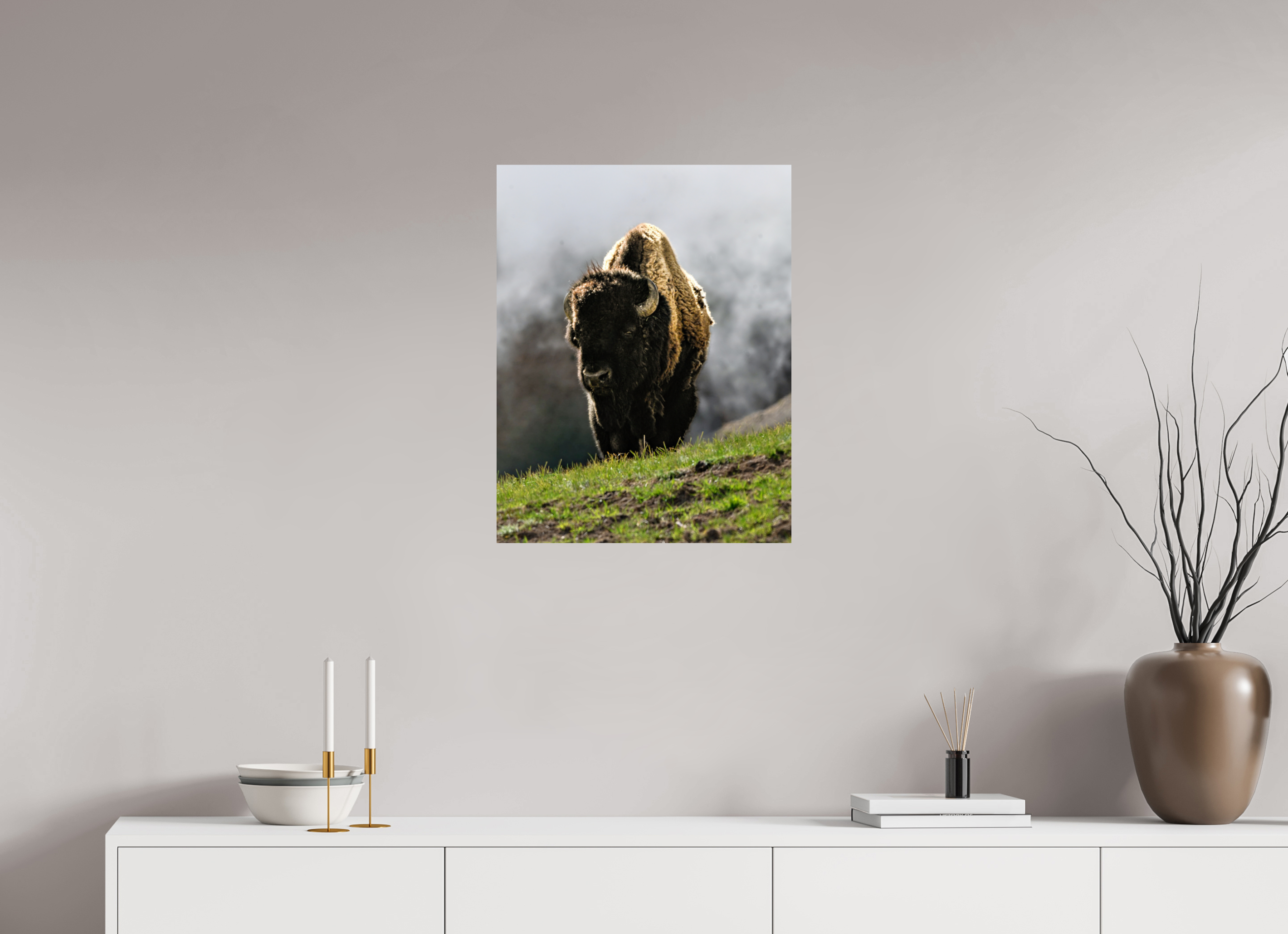 20 x 25.7″, PHOTO PAPER Bison