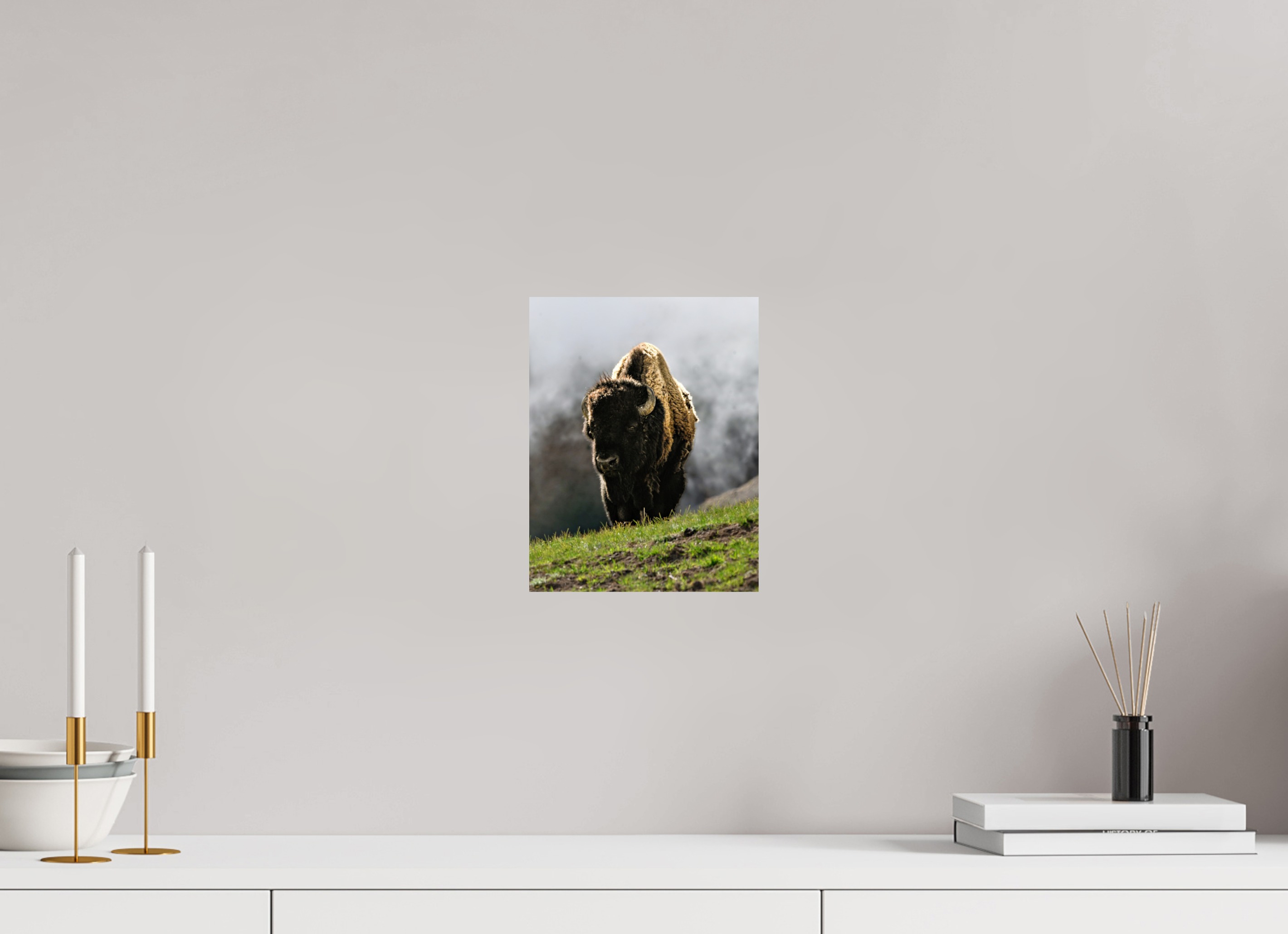 8 x 10.3″, PHOTO PAPER Bison
