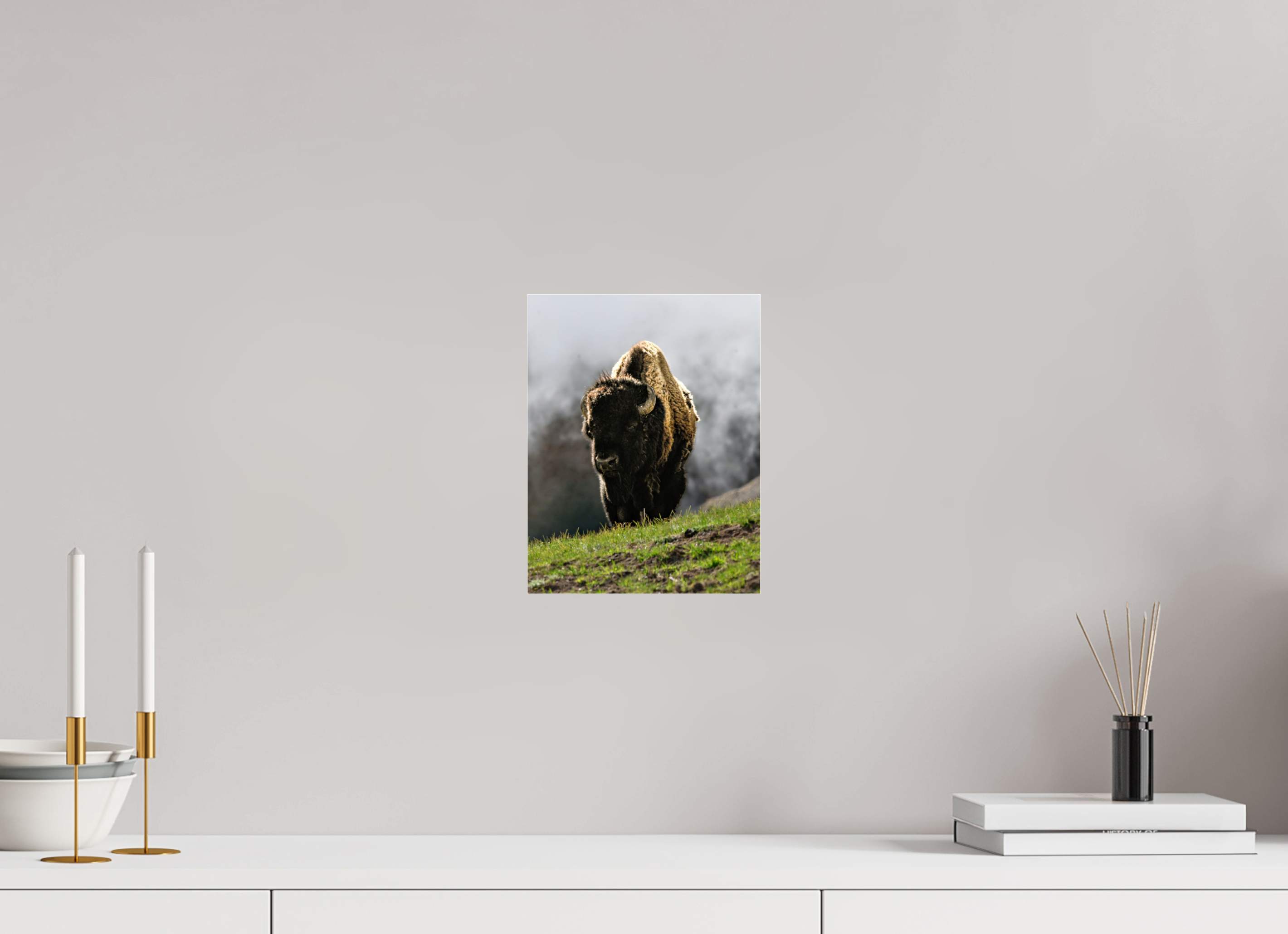 8 x 10.3″, ACRYLIC Bison