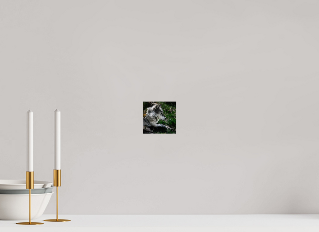 4.1 x 4″, PHOTO PAPER Wolf Side Profile