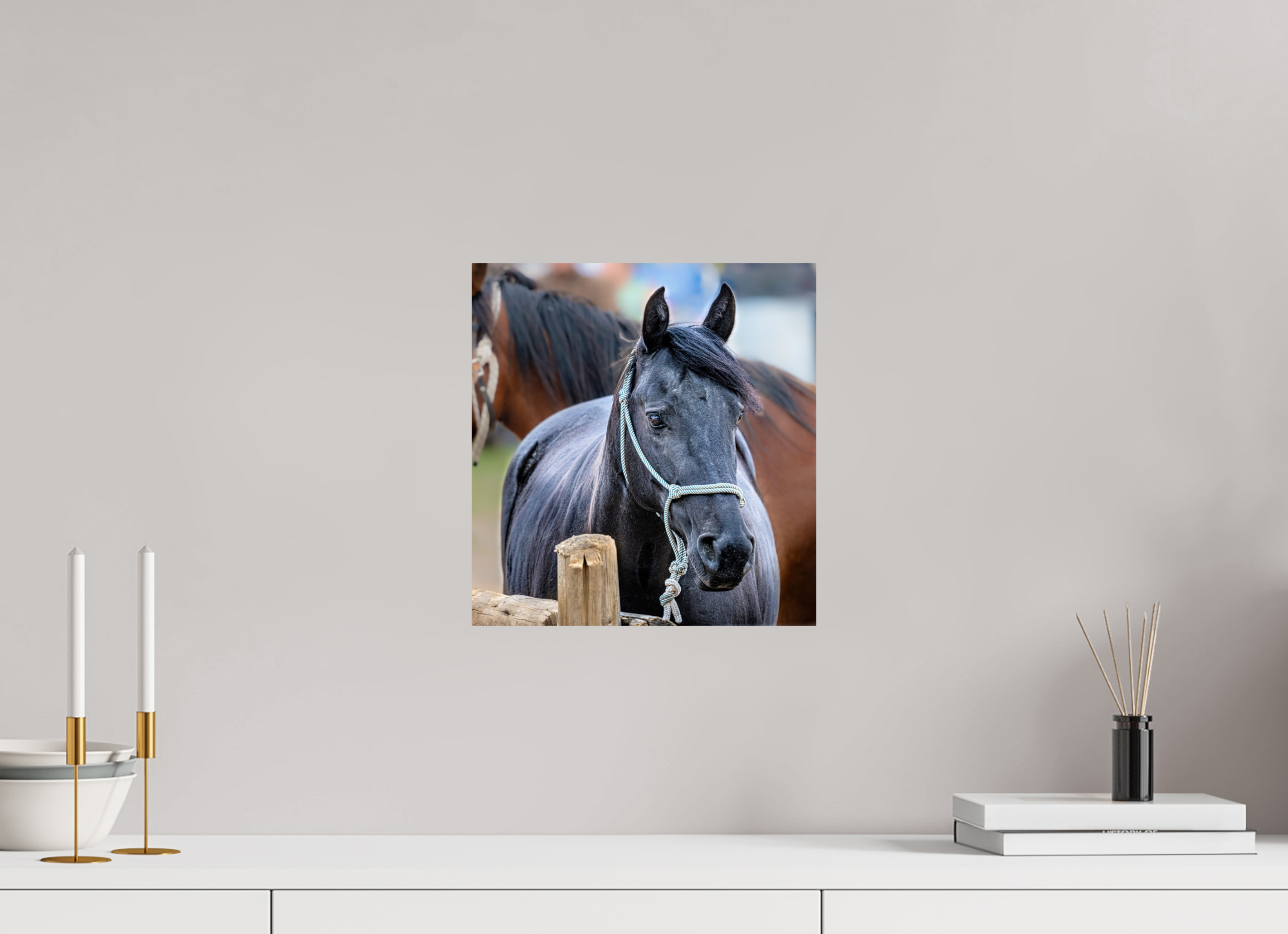 12 x 12.6″, PHOTO PAPER Pack Horse Portrait 8 Web Exclusive
