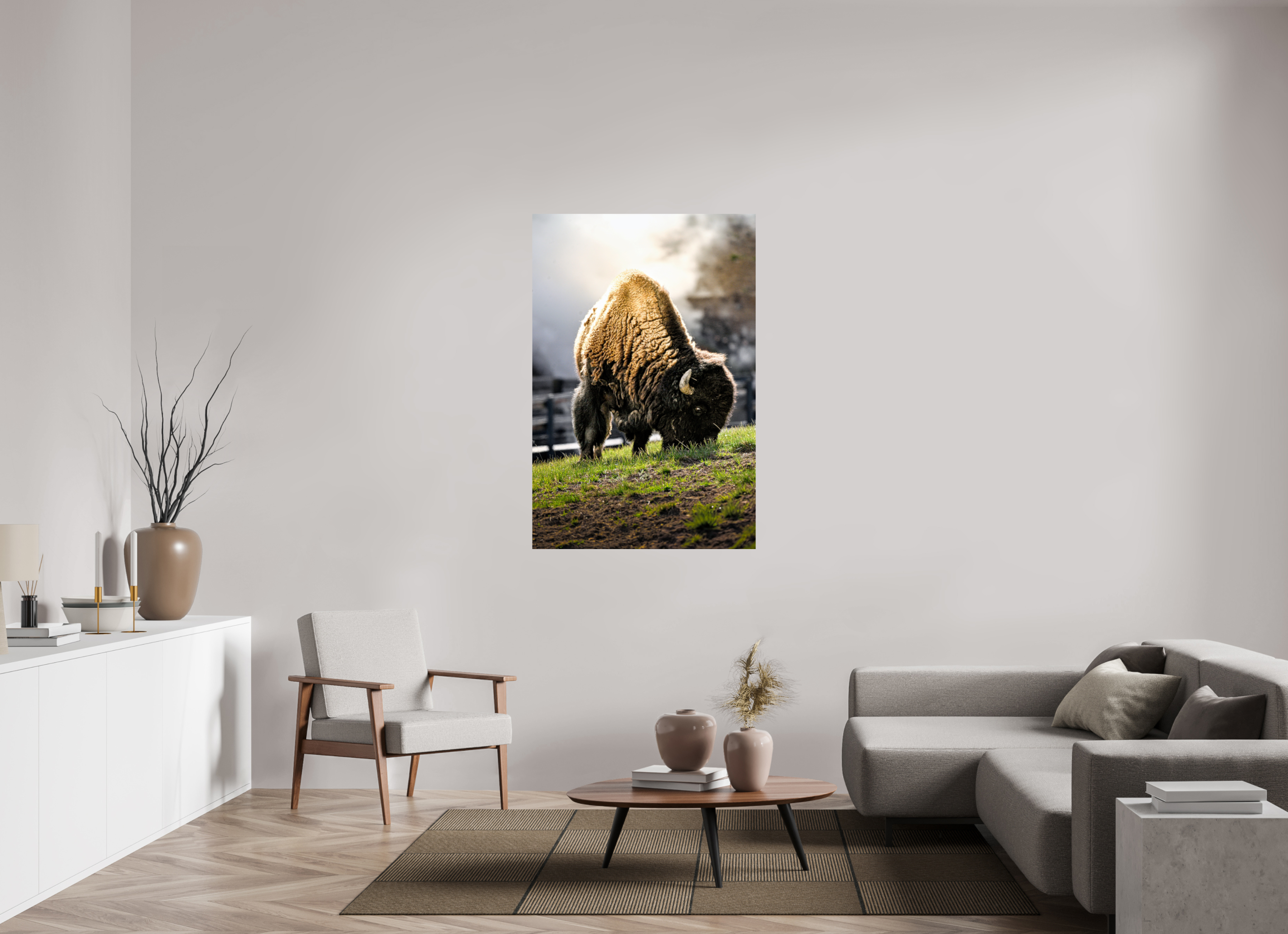 36 x 54″, PHOTO PAPER Bison Grazing