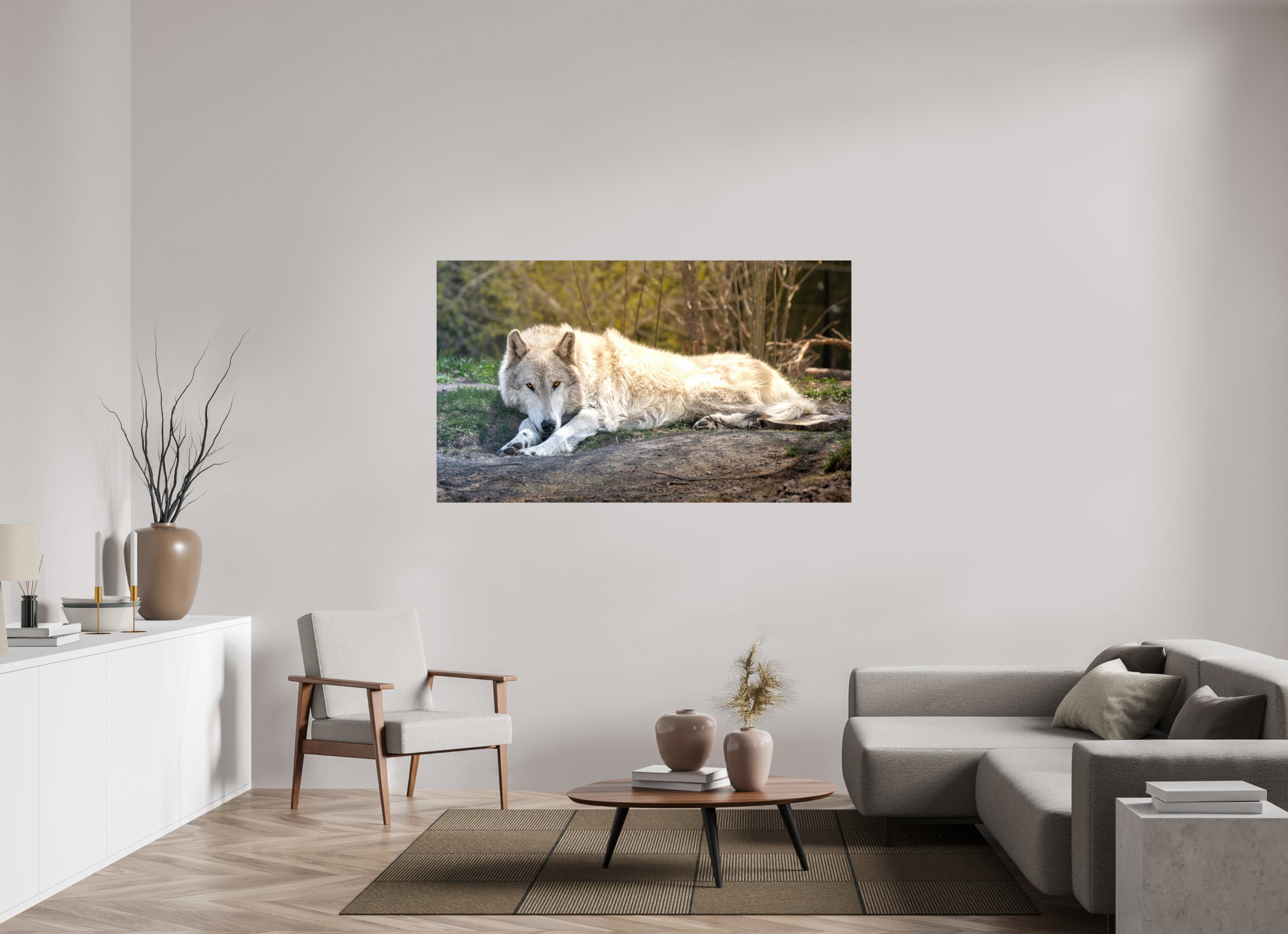 66.8 x 39″, PHOTO PAPER Wolf Laying Down