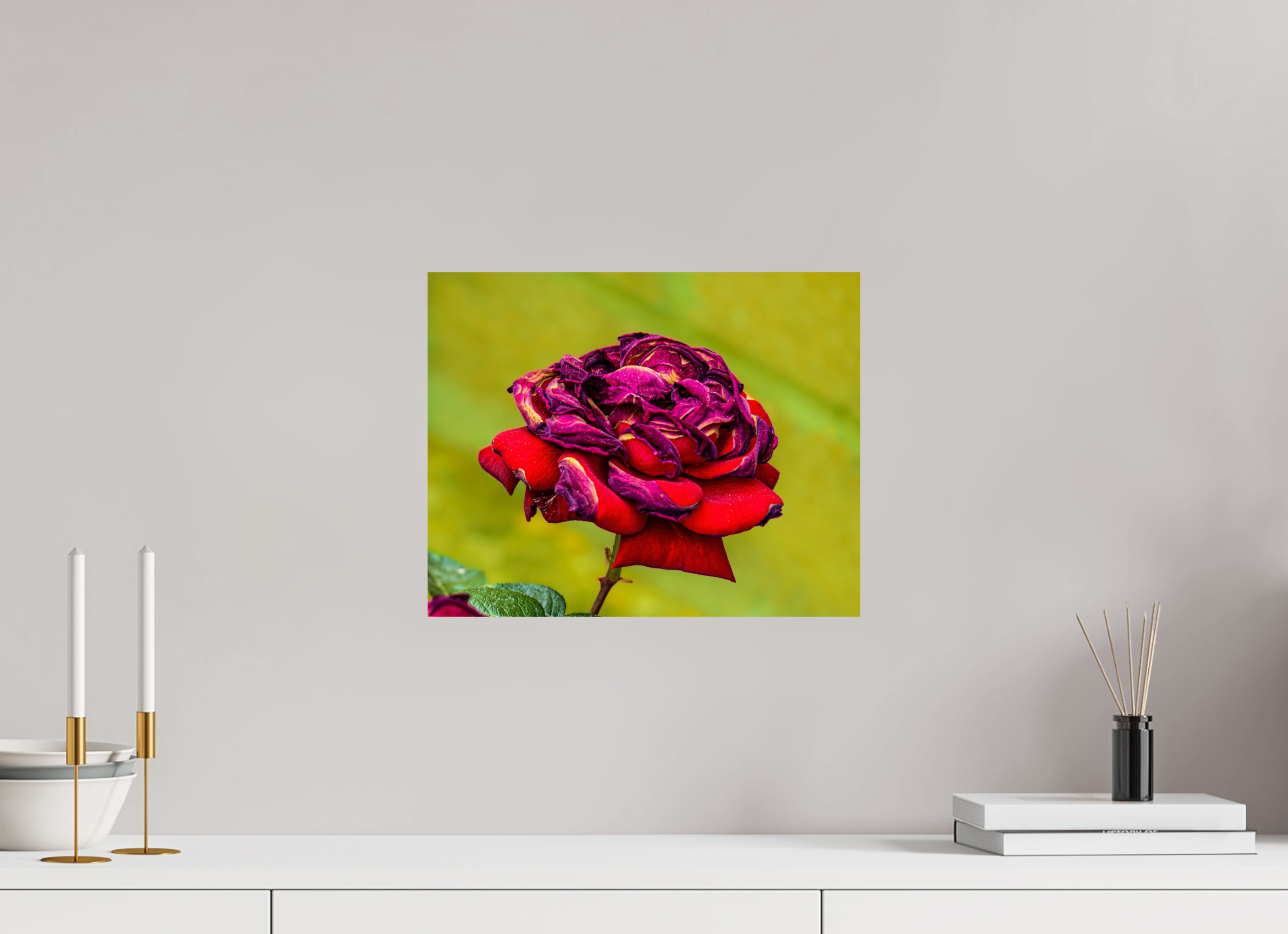 15.1 x 12″, PHOTO PAPER Red Rose