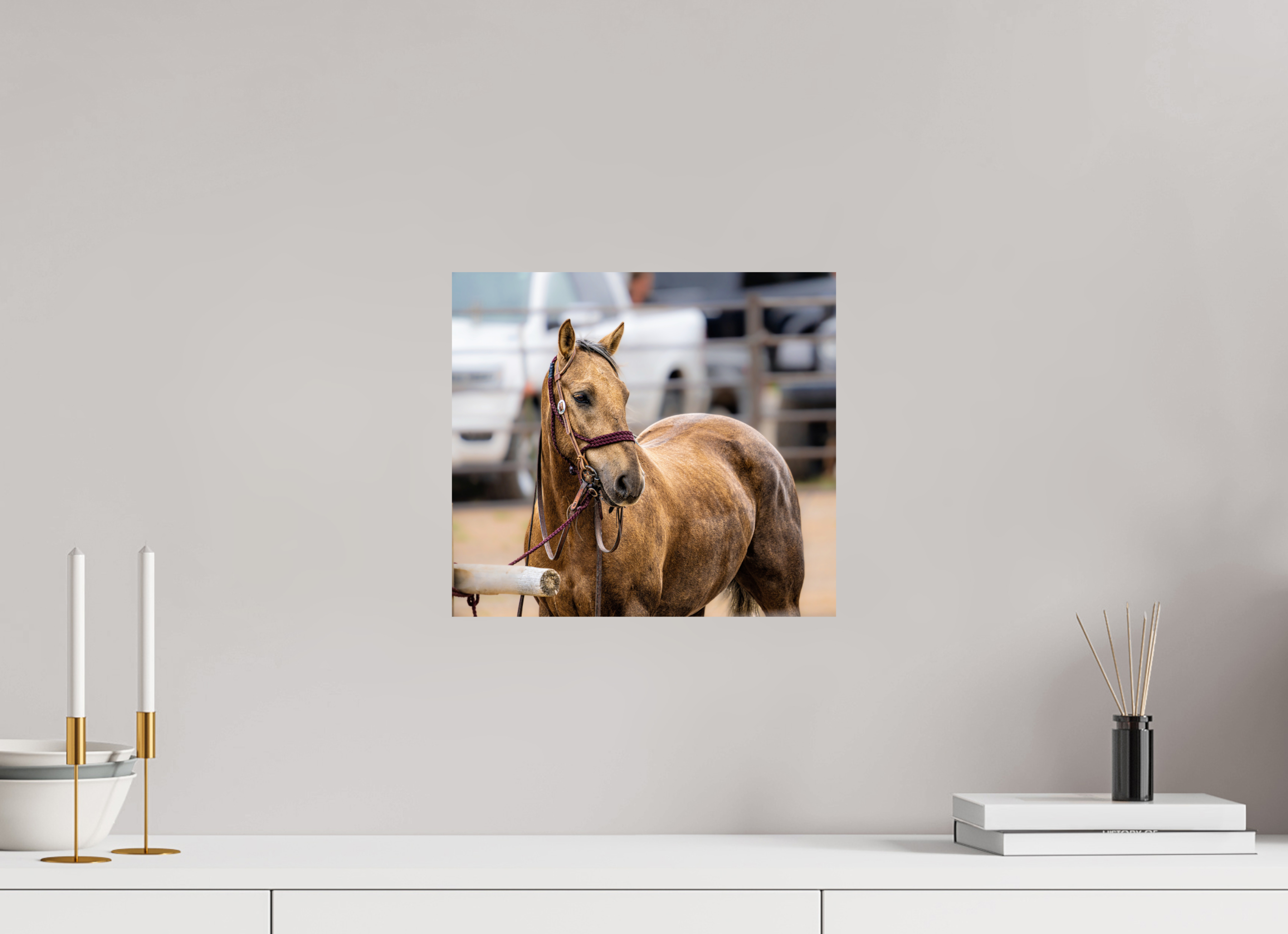 13.4 x 12″, PHOTO PAPER Pack Horse Portrait 3