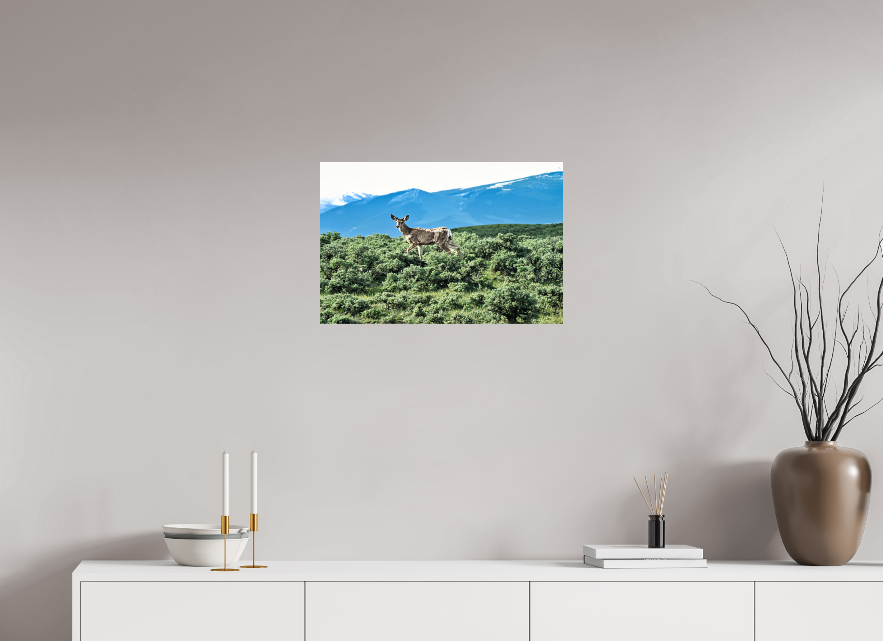 24 x 16″, PHOTO PAPER Deer