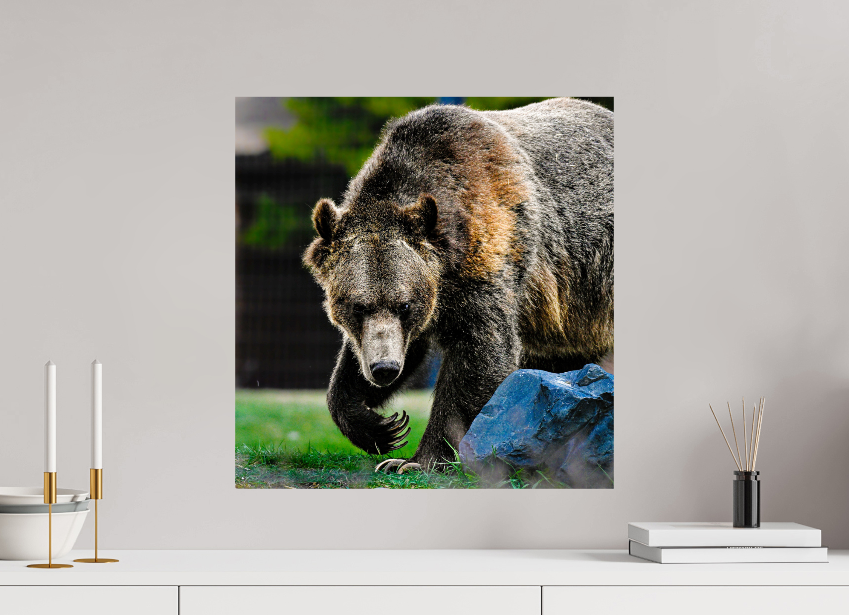 20 x 20.7″, PHOTO PAPER Bear