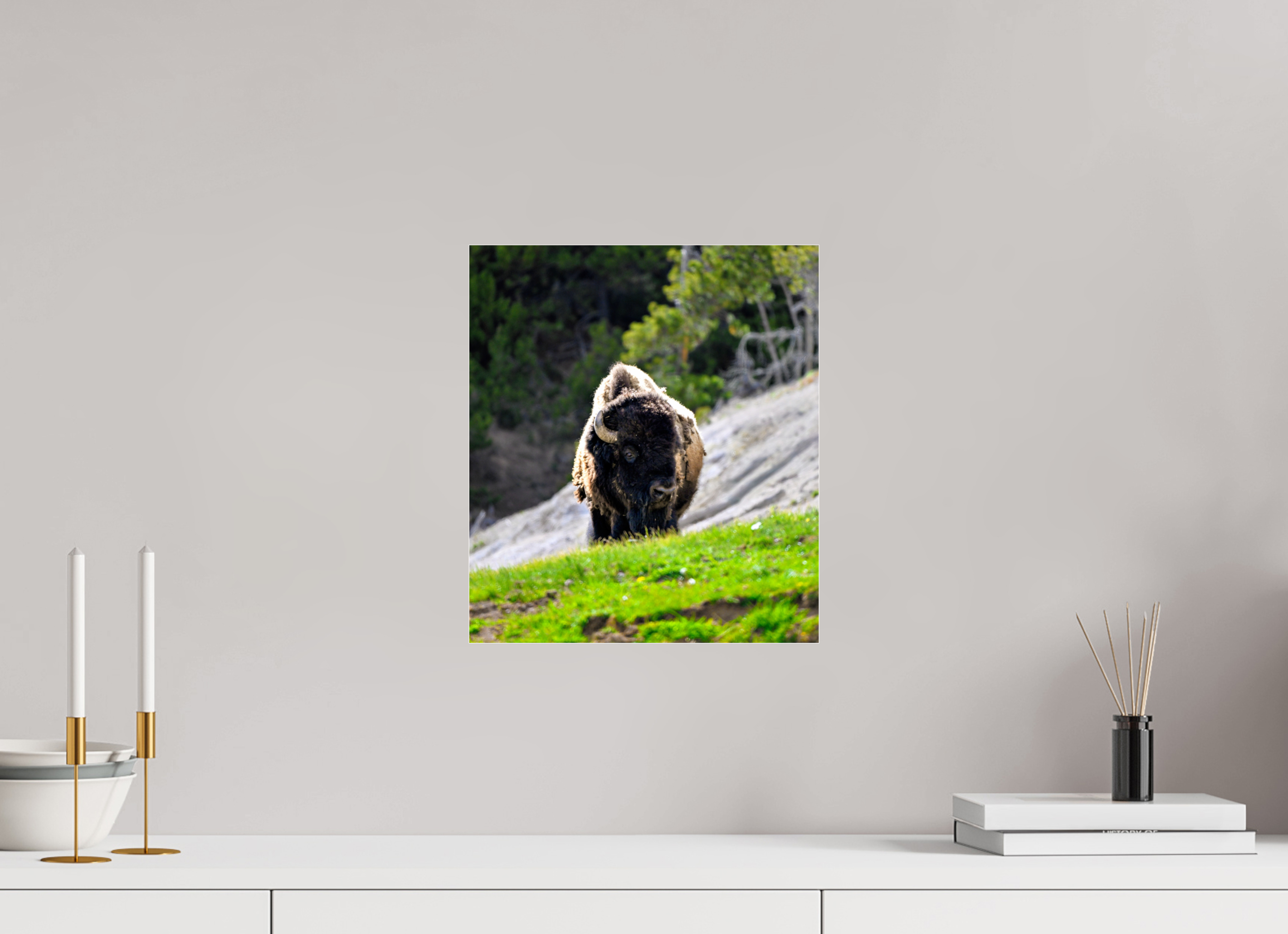 12 x 13.7″, ACRYLIC Bison Portrait