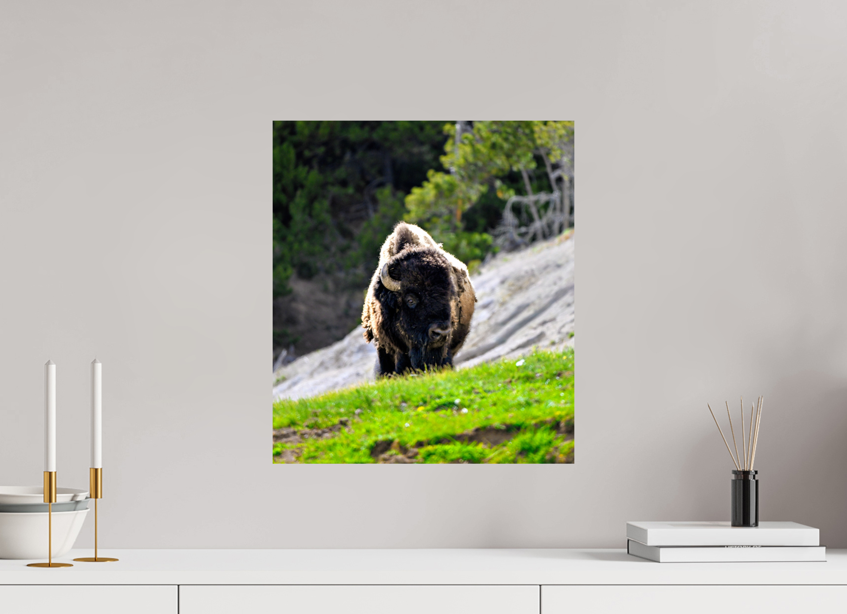 16 x 18.2″, PHOTO PAPER Bison Portrait