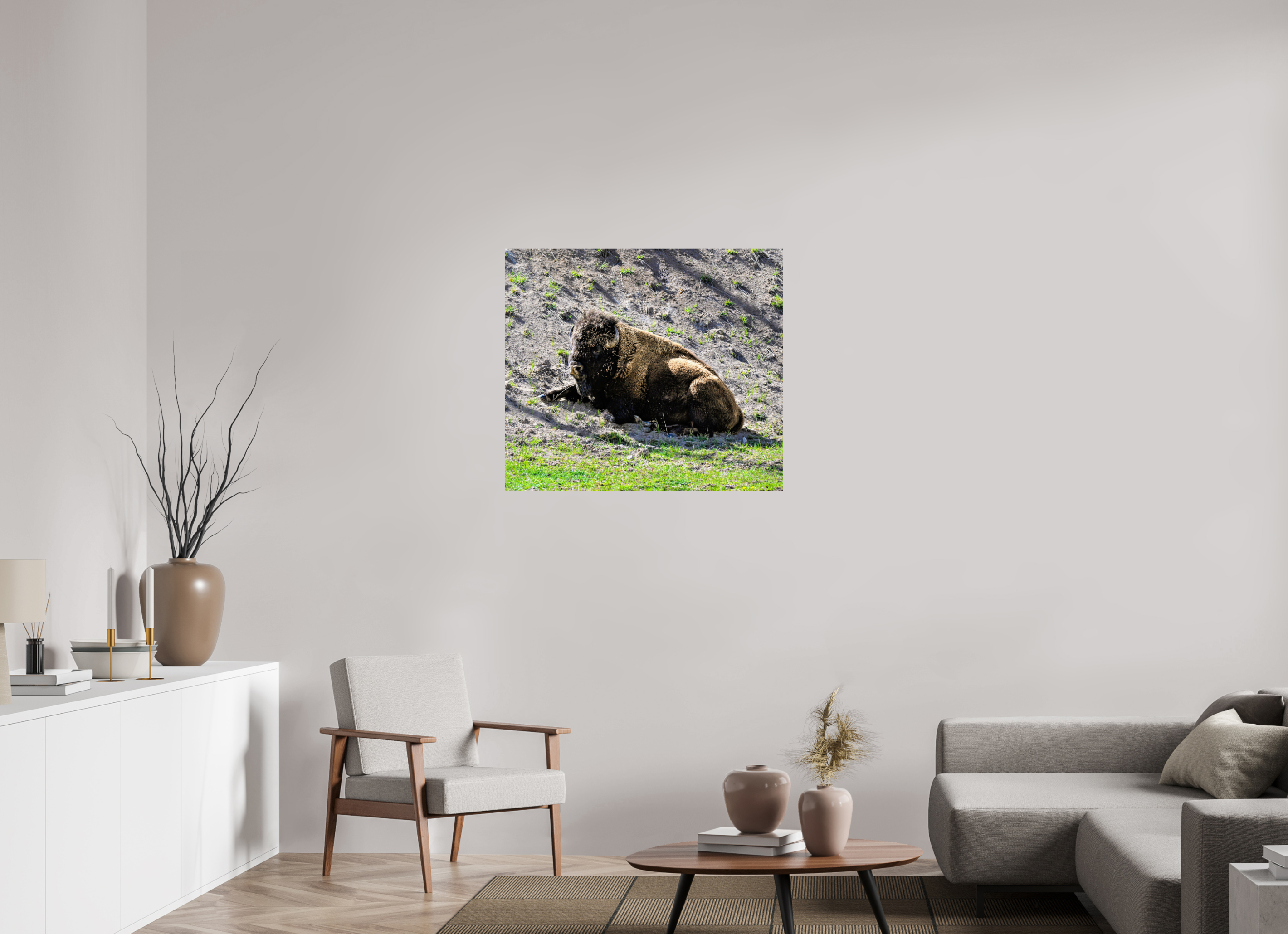 35.6 x 31″, PHOTO PAPER Bison Laying Down