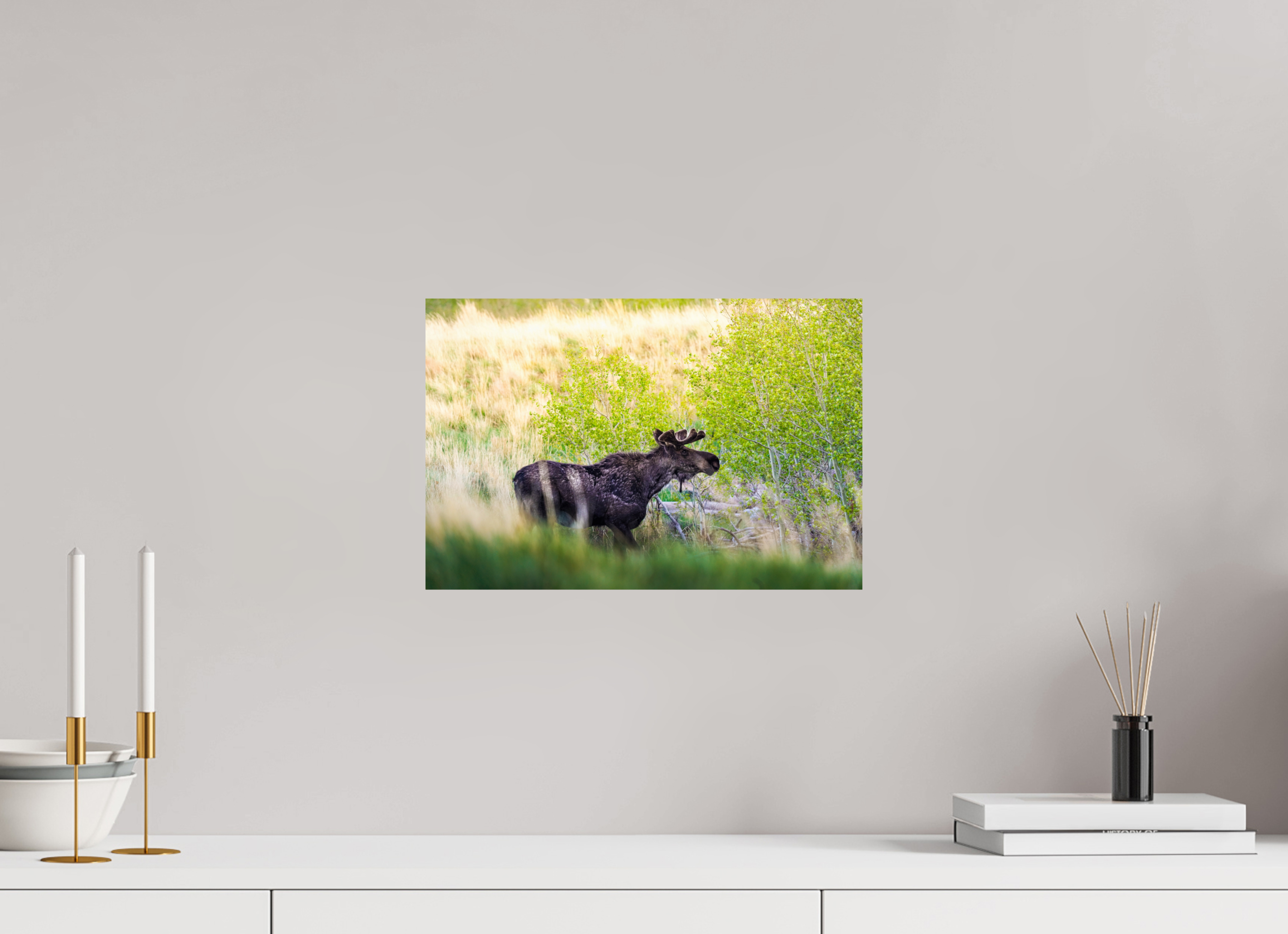 15 x 10″, METAL “Peek A Boo” Moose