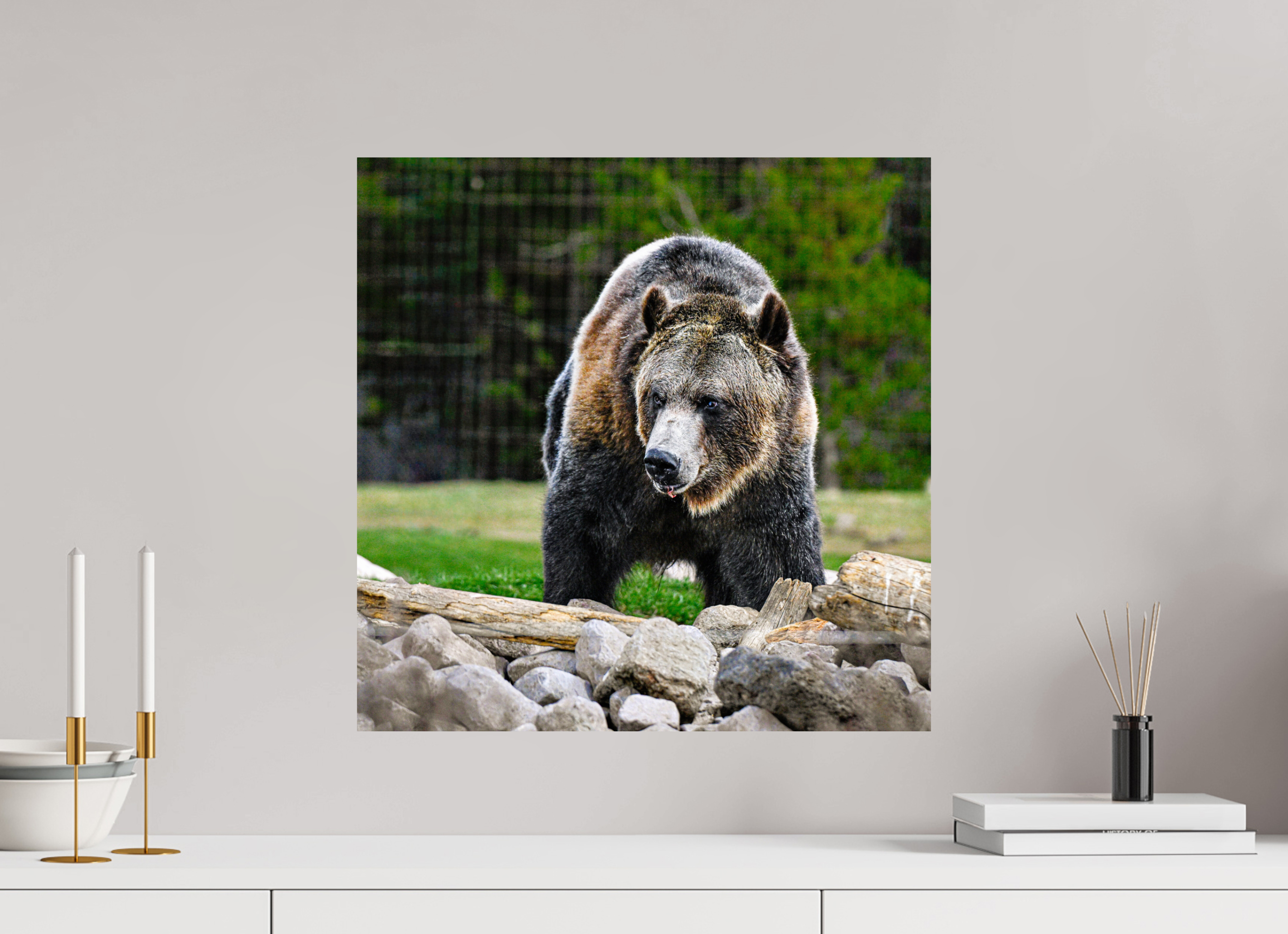 20 x 20″, PHOTO PAPER Bear