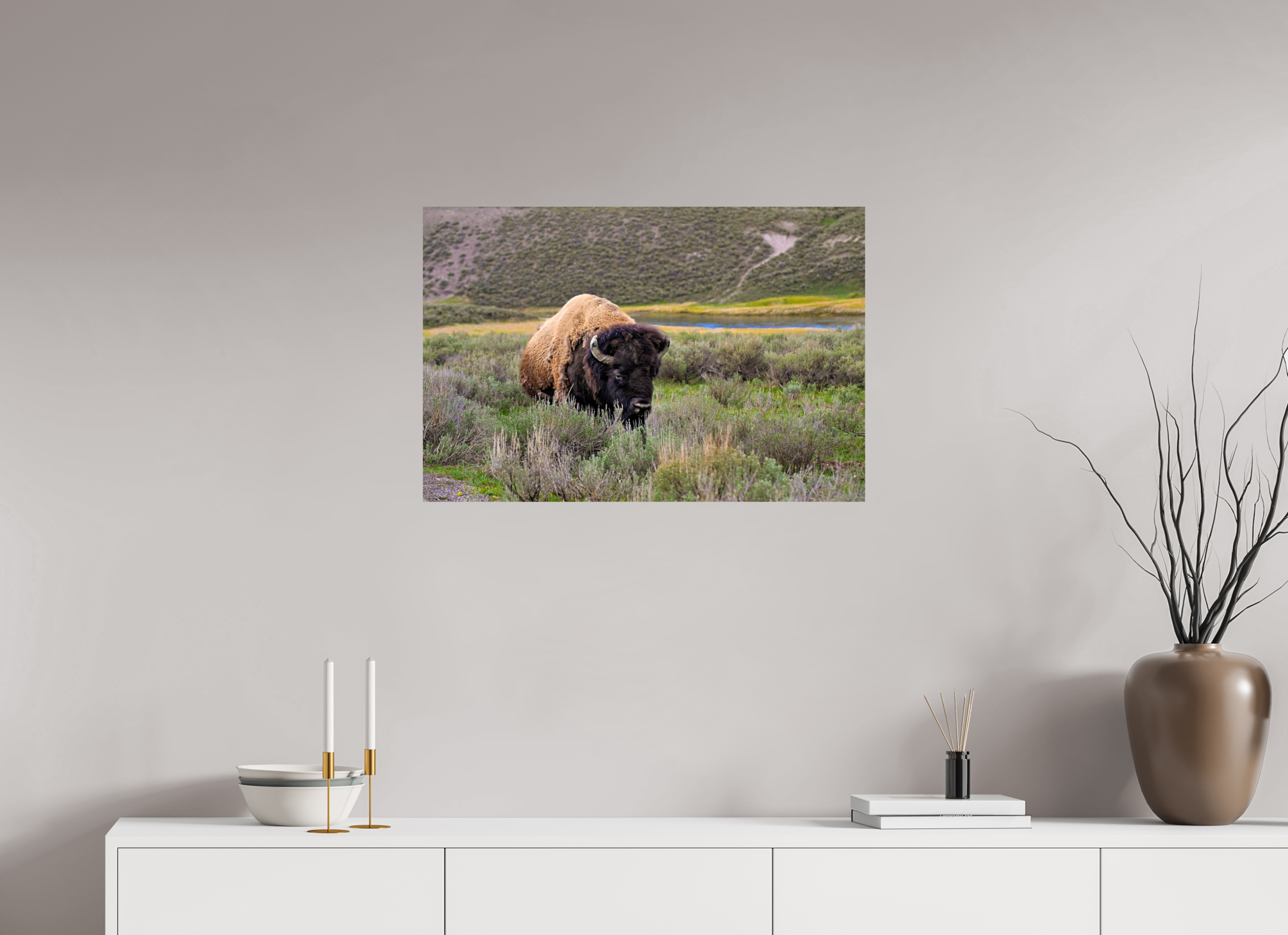 30 x 20″, PHOTO PAPER Bison