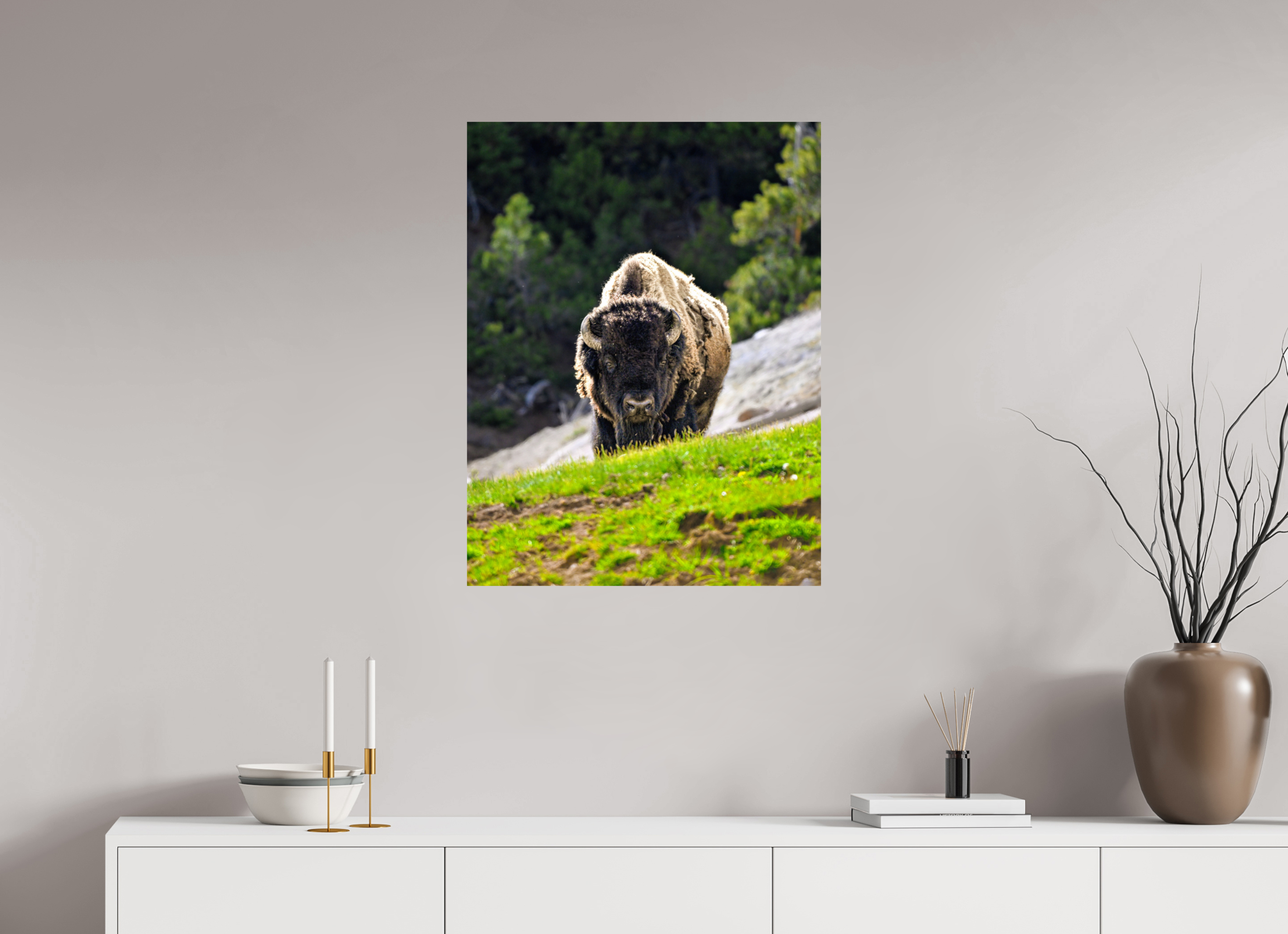 24 x 31.5″, PHOTO PAPER Bison Portrait