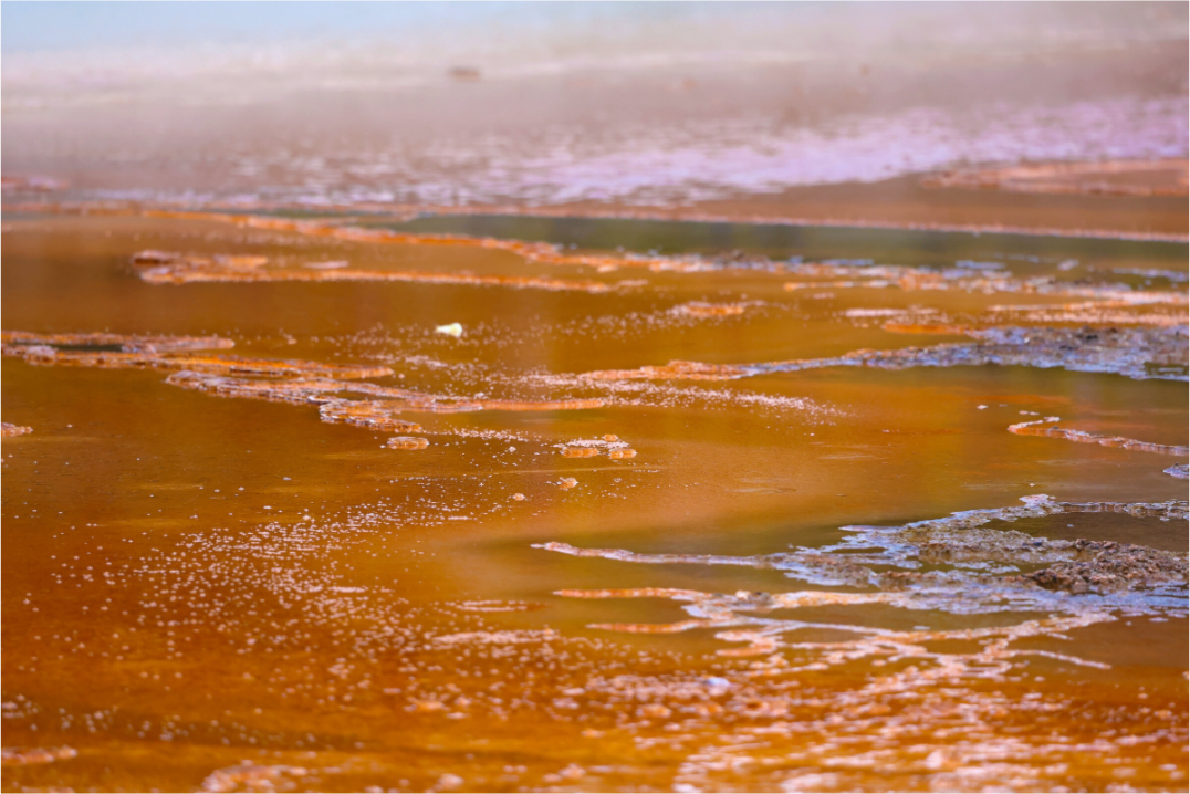 Main image Yellowstone