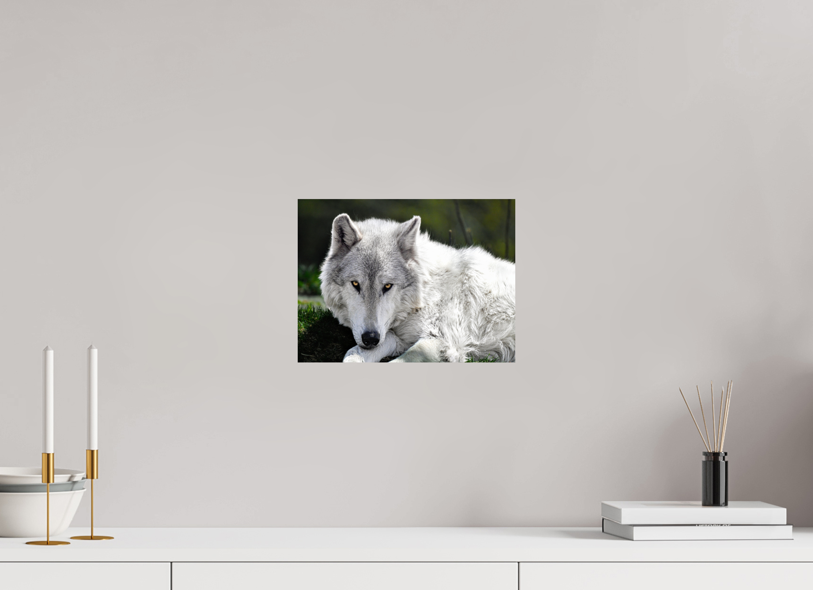 12 x 9″, PHOTO PAPER Wolf with Yellow Eyes