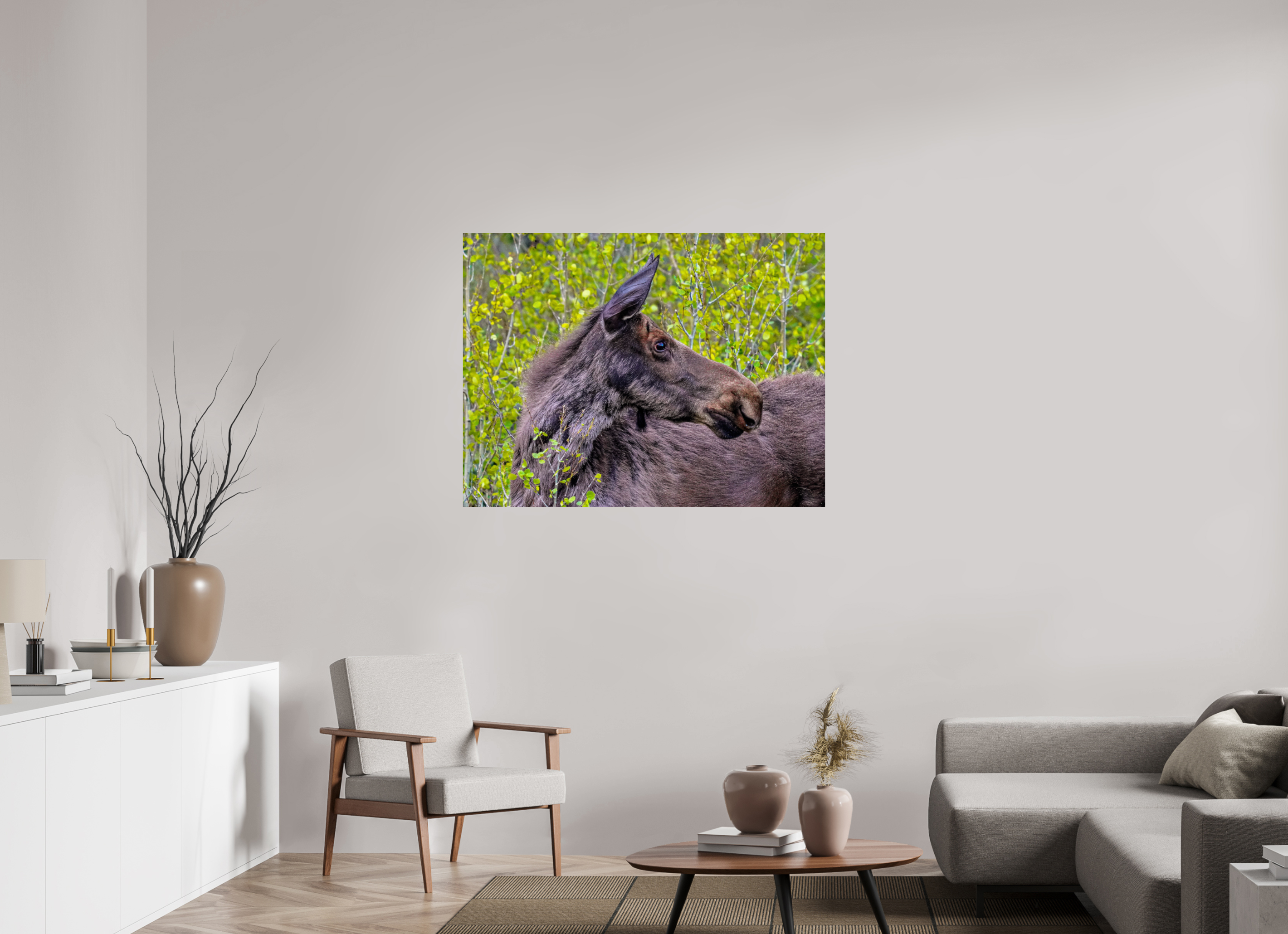 46.3 x 35″, PHOTO PAPER Moose Close up