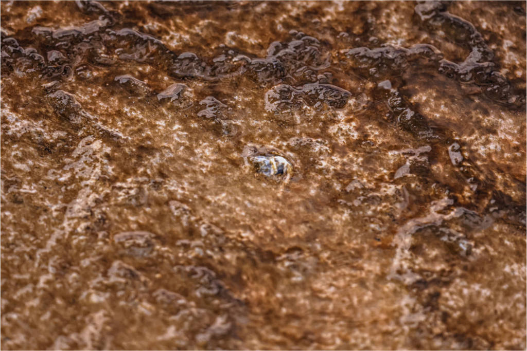 Main image Yellowstone