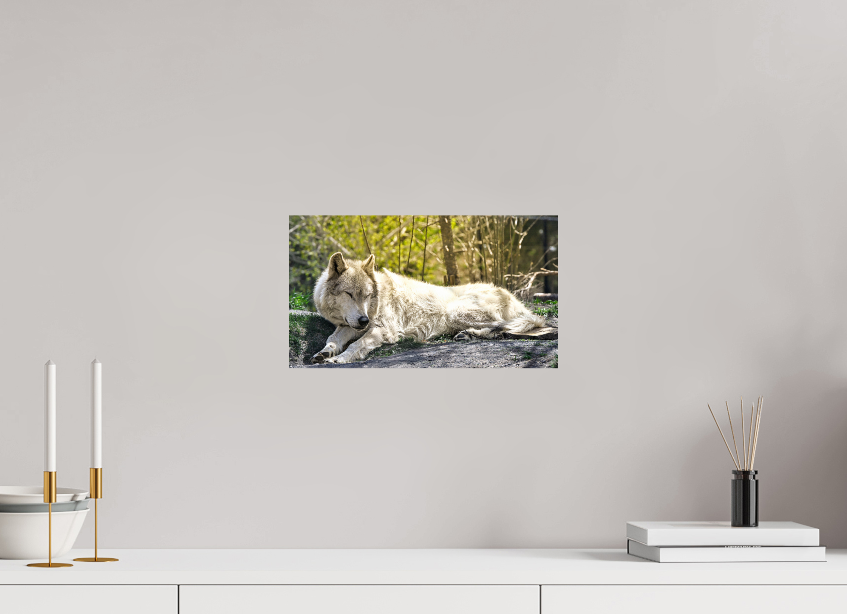 14 x 8″, METAL Wolf Napping